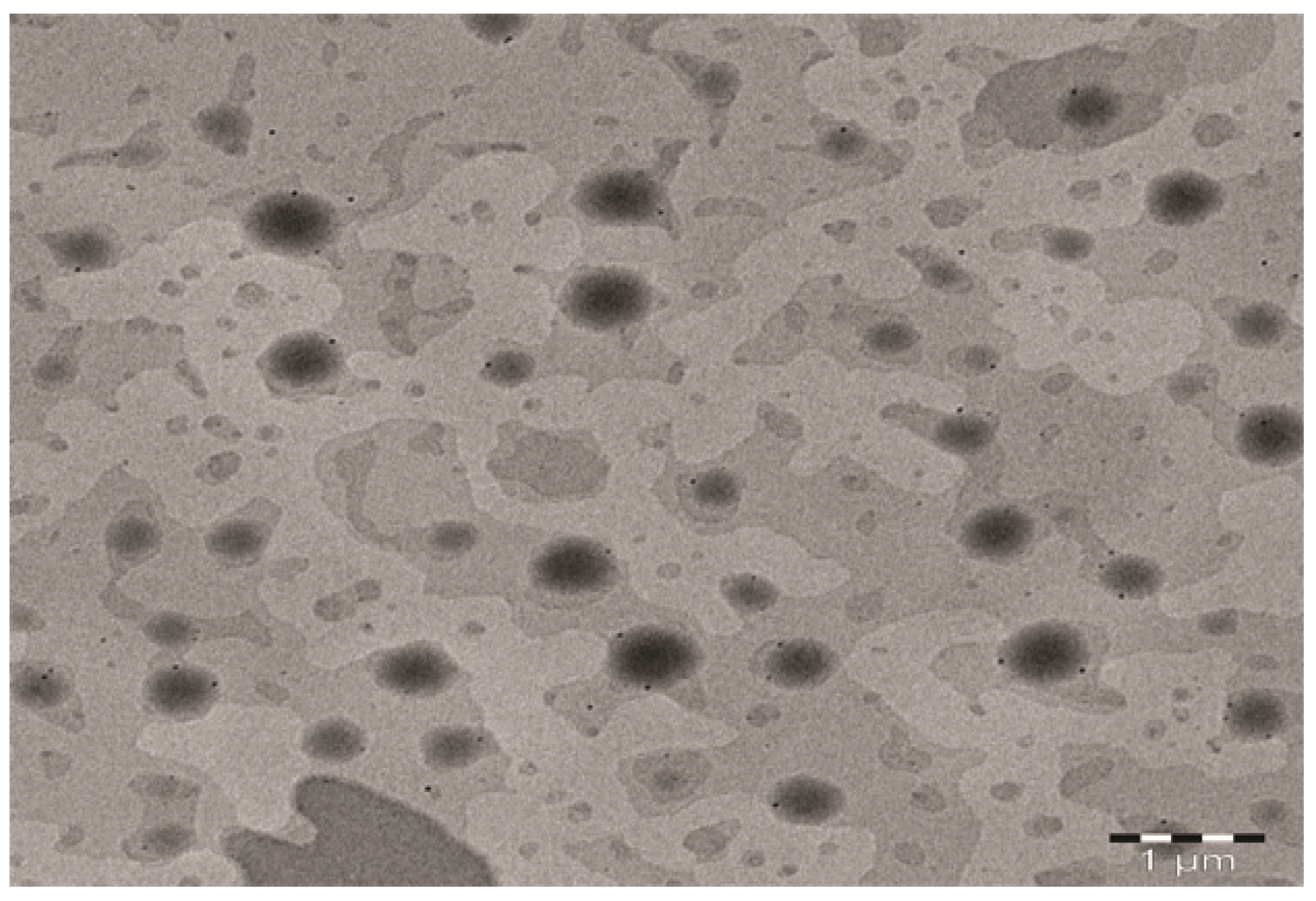 Processes 11 03039 g004