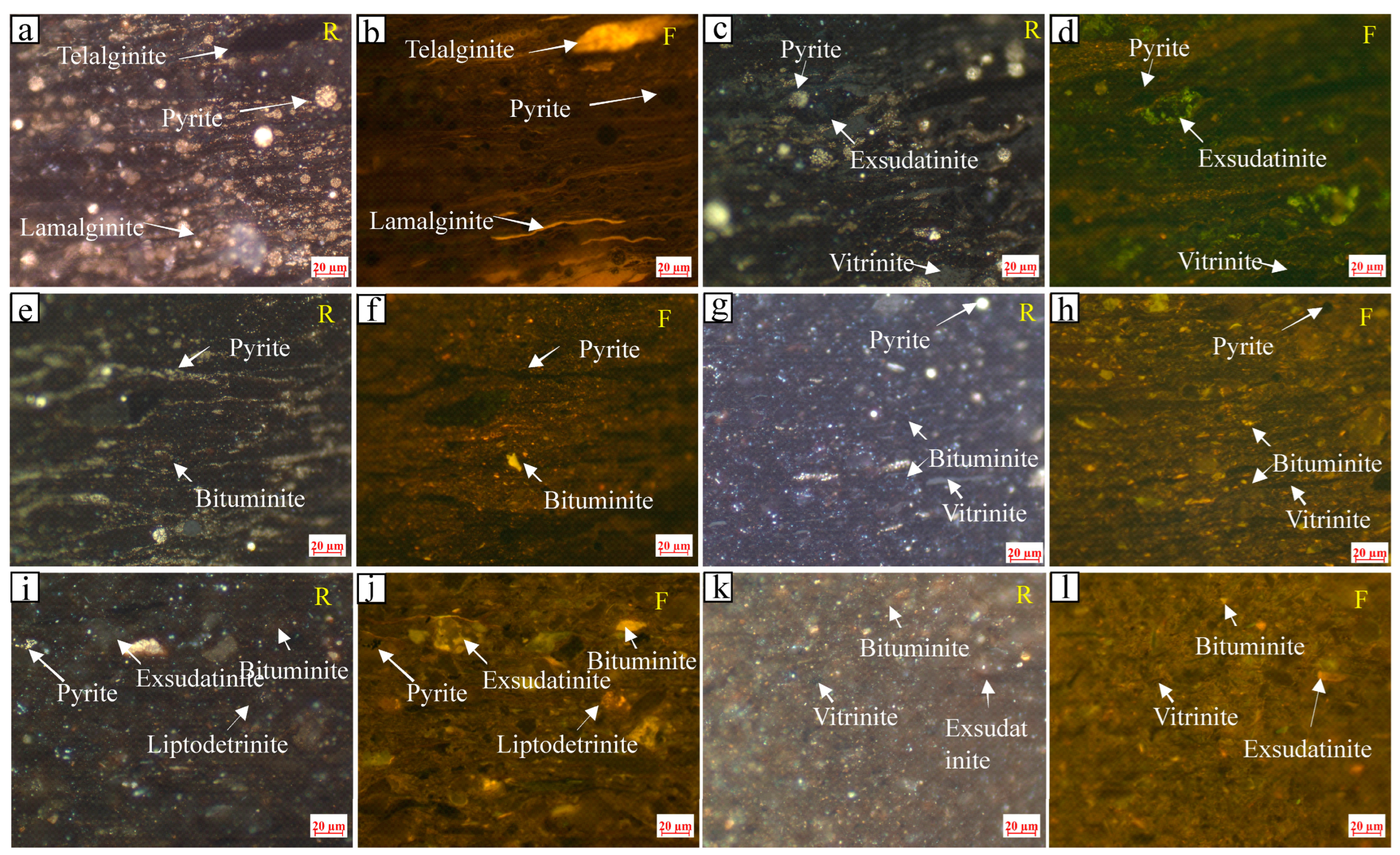 Processes 11 03090 g004
