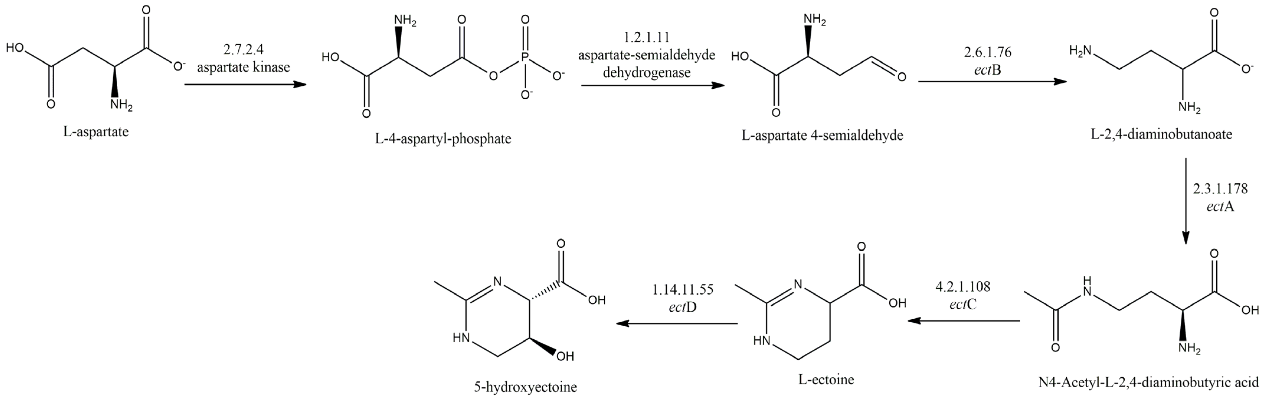 Processes 11 03184 g002