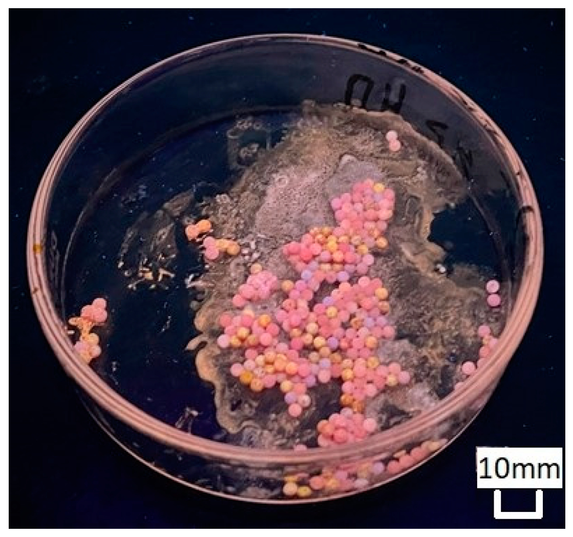 Processes 11 03197 g007