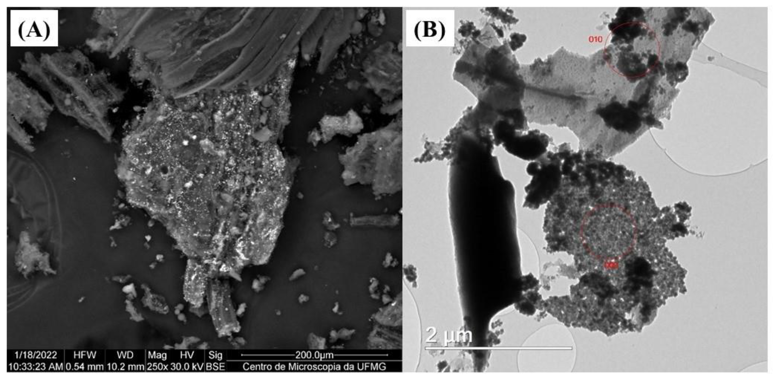 Processes 11 03244 g005