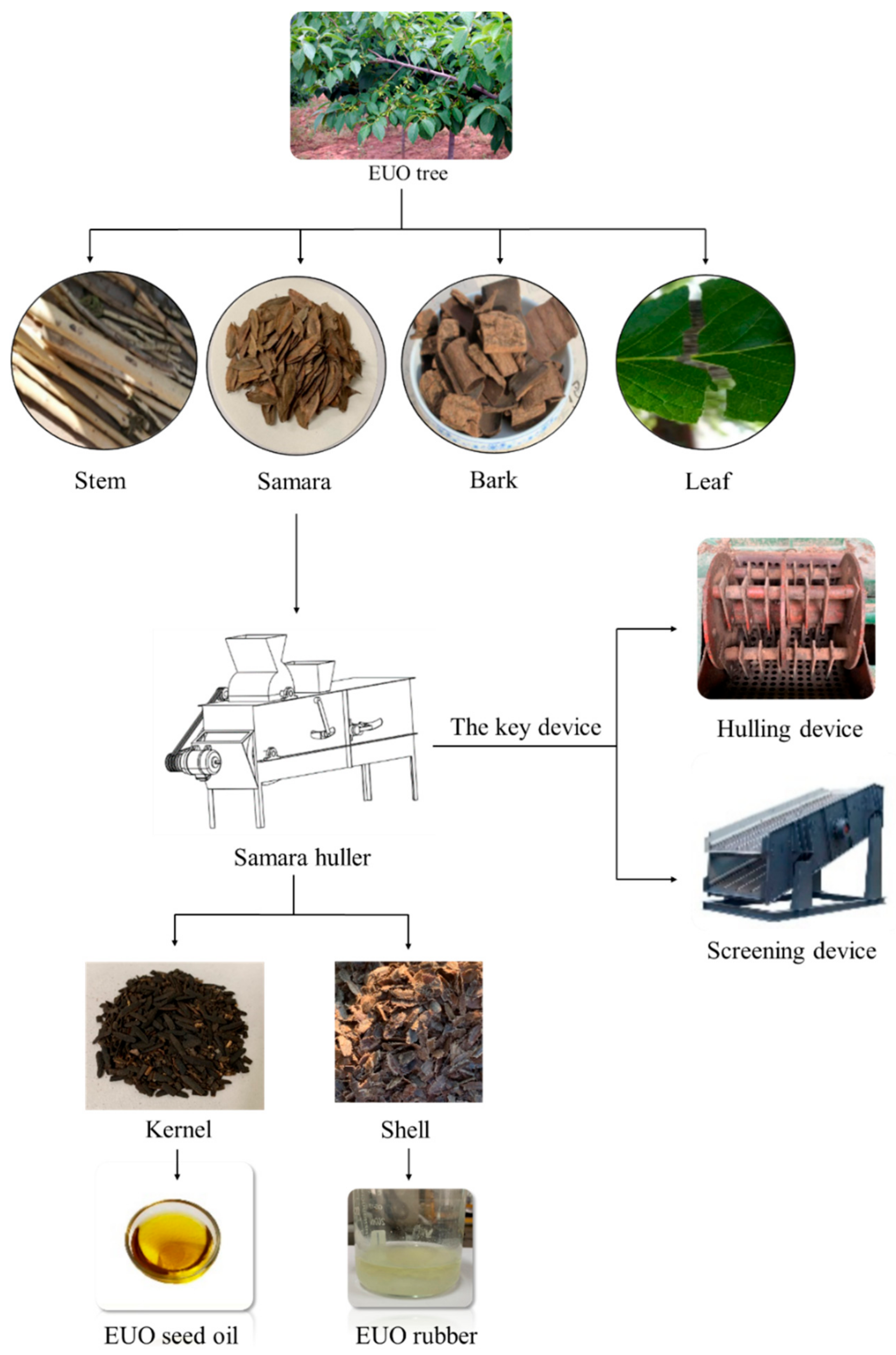 Processes 11 03276 g001 Processes 11 03276 g001