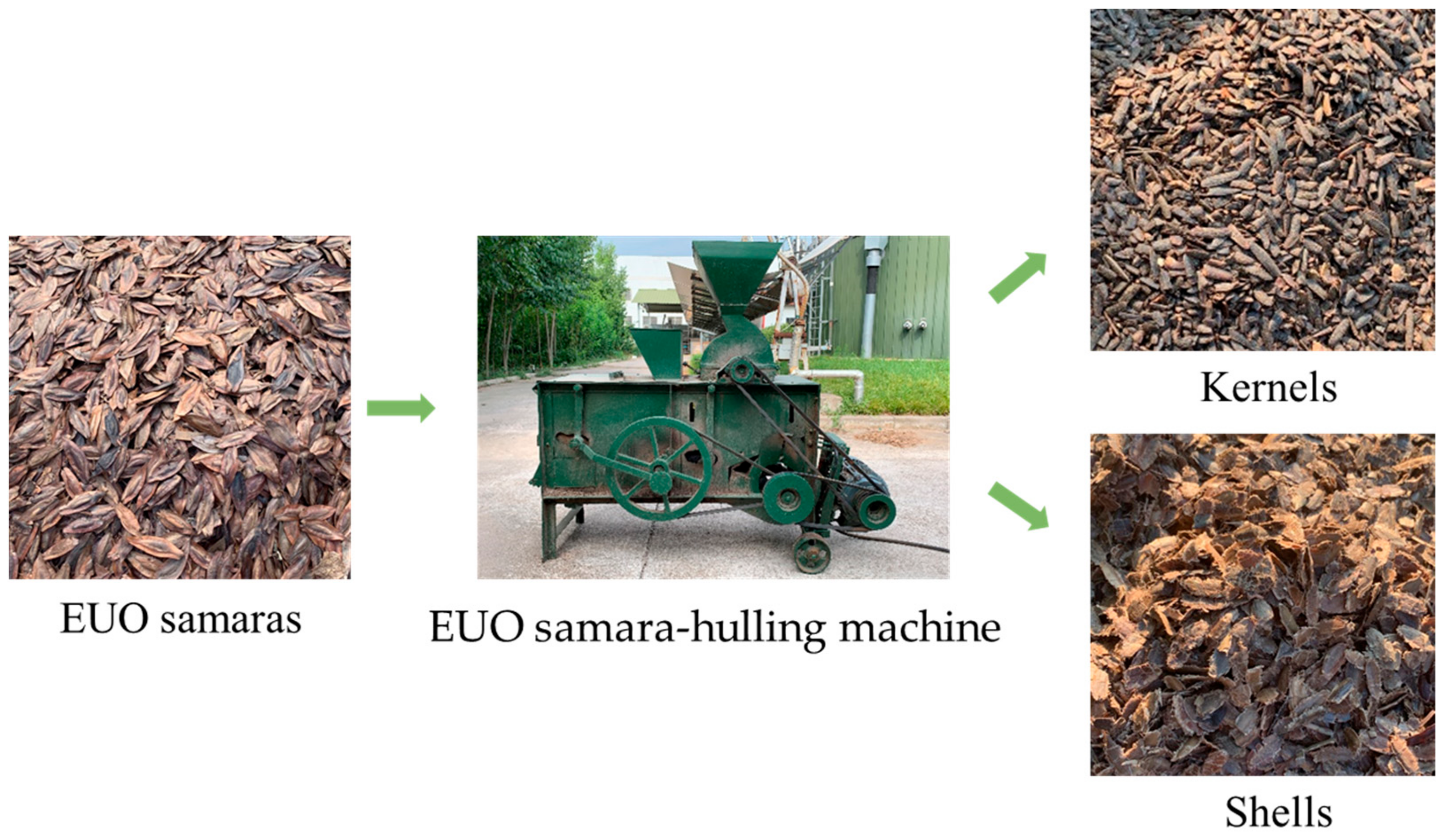 Processes 11 03276 g005 Processes 11 03276 g005