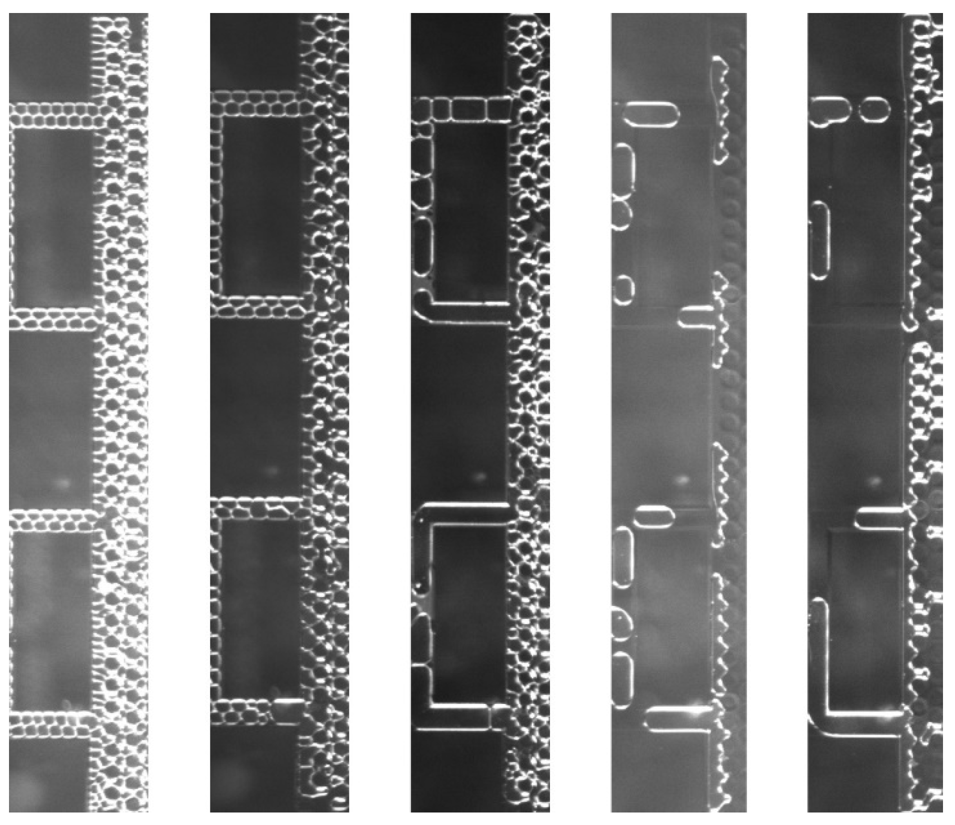 Processes 11 03322 g008