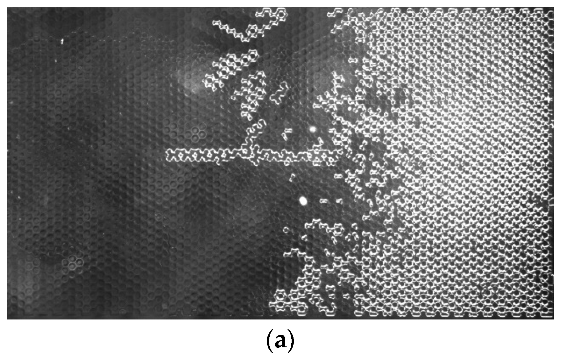 Processes 11 03322 g035a