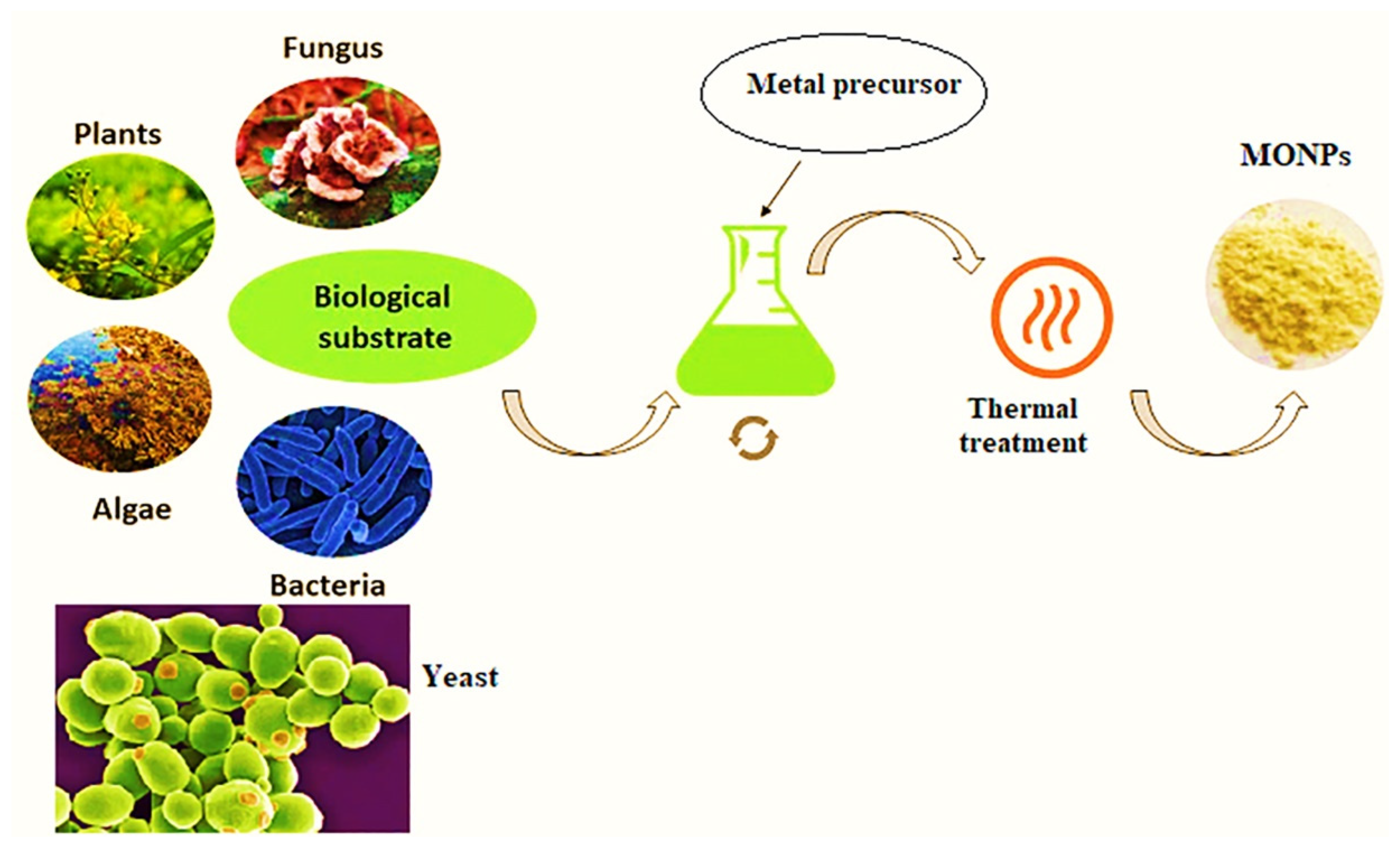 Processes 11 03356 g001 Processes 11 03356 g001