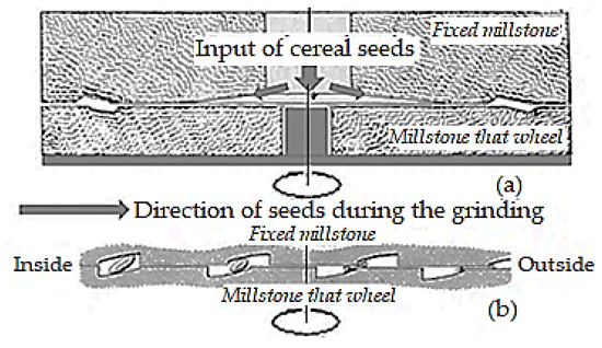 Processes 11 03376 g002
