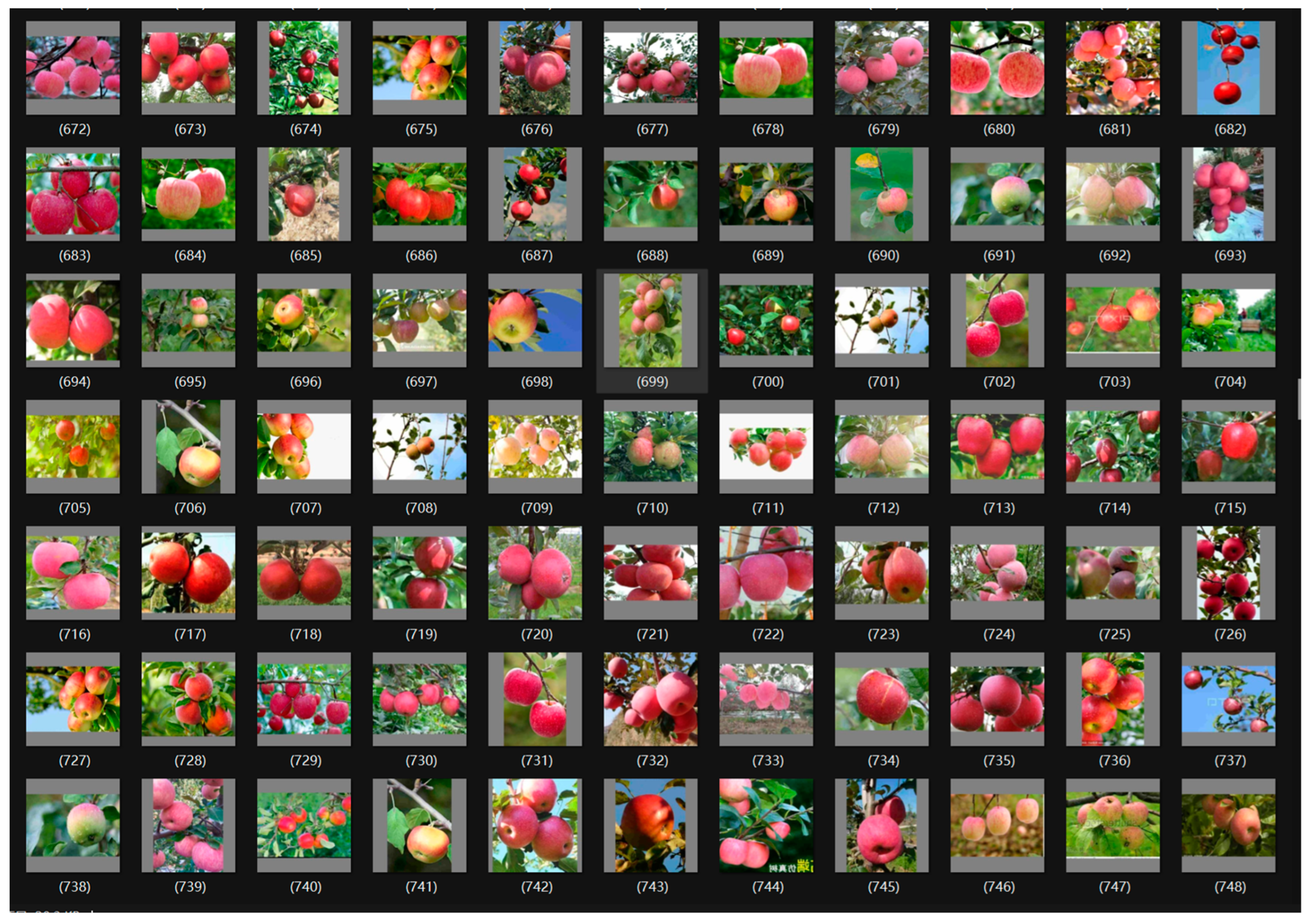 Processes 12 00015 g006