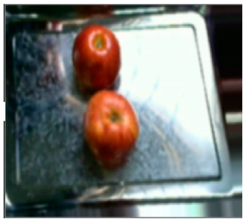 Processes 12 00015 g009