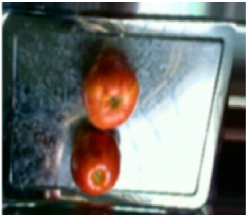 Processes 12 00015 g010