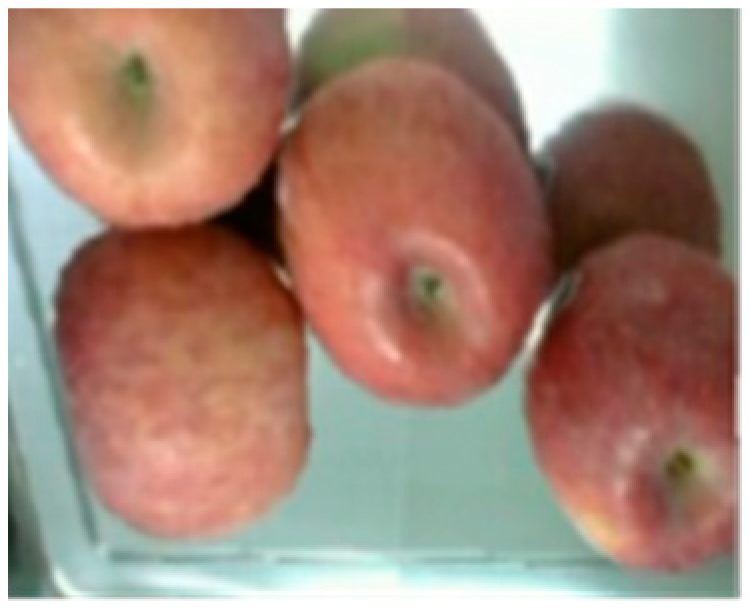 Processes 12 00015 g012