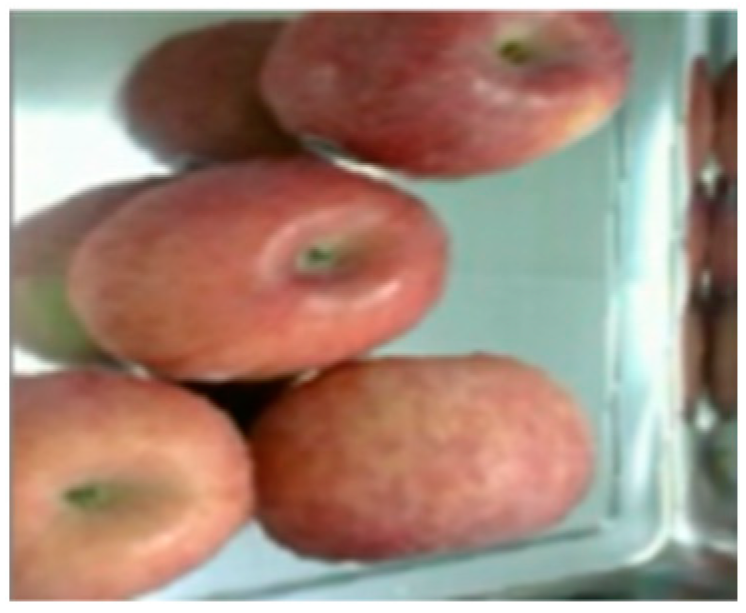 Processes 12 00015 g014