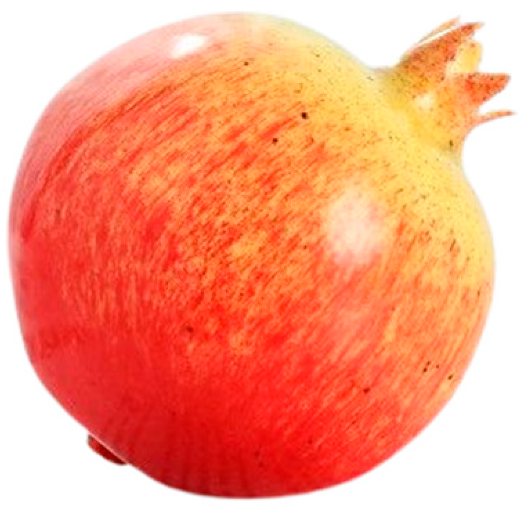 Processes 12 00015 g021