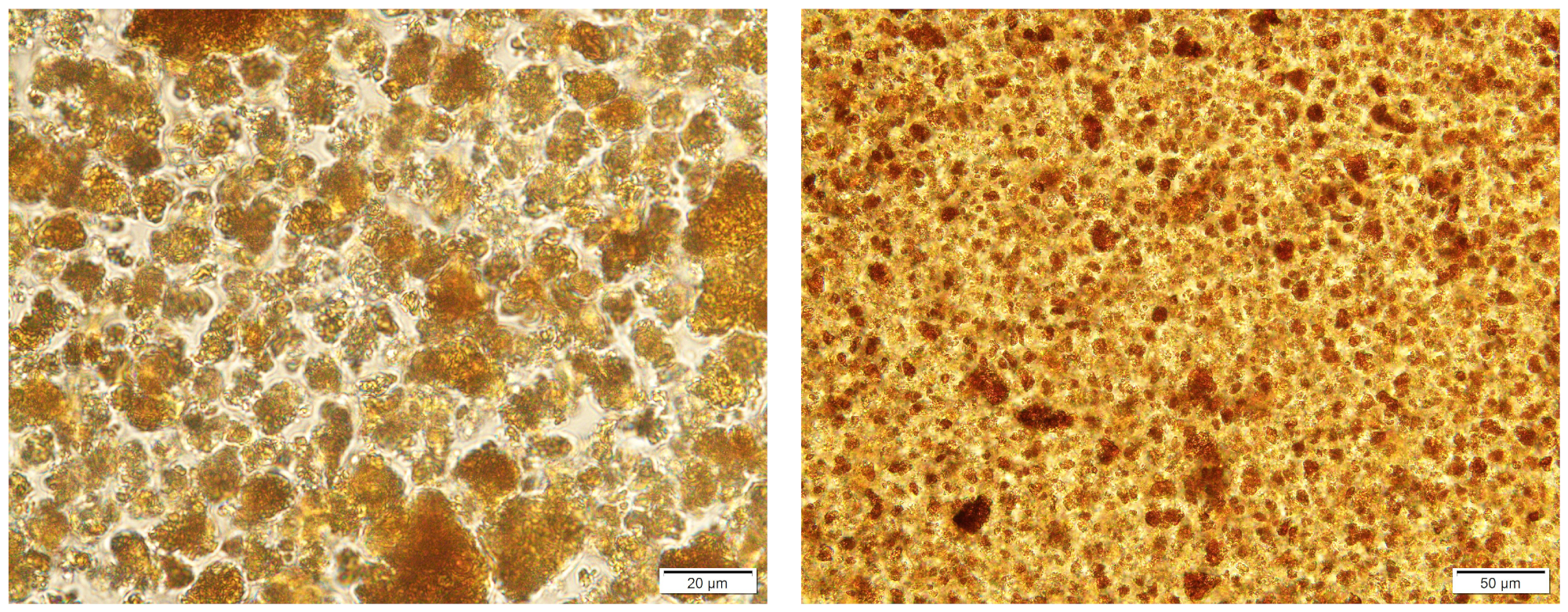 Processes 12 00017 g001 Processes 12 00017 g001