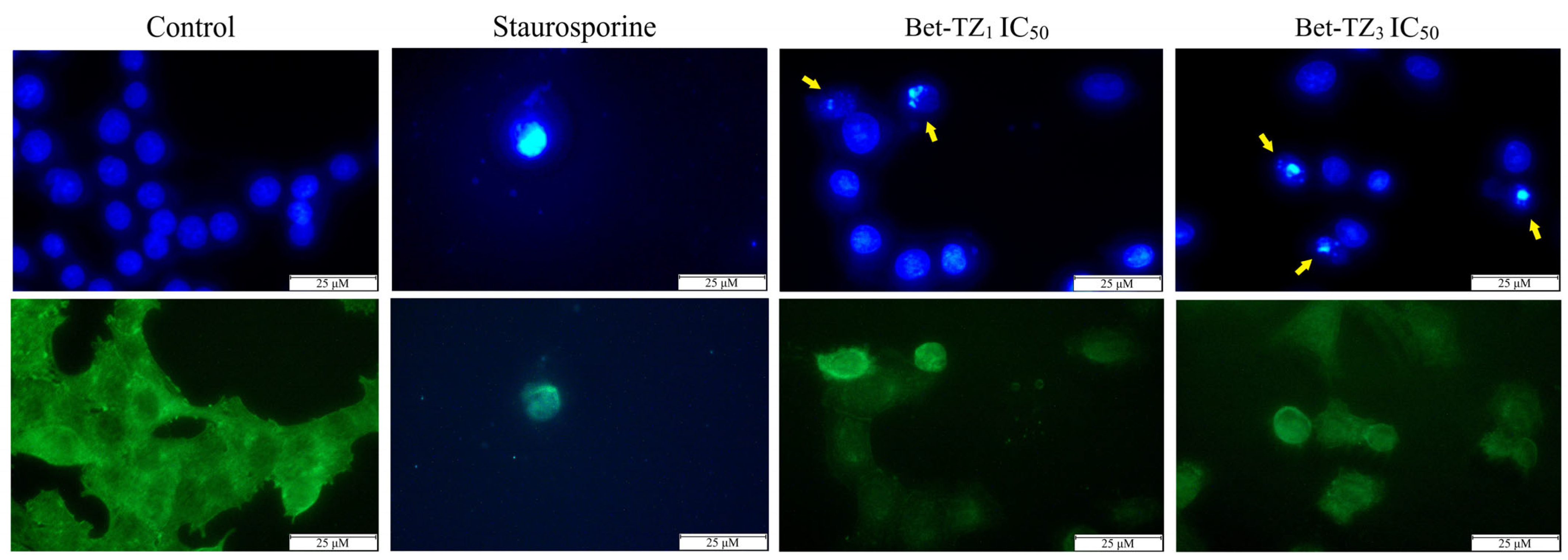 Processes 12 00024 g007
