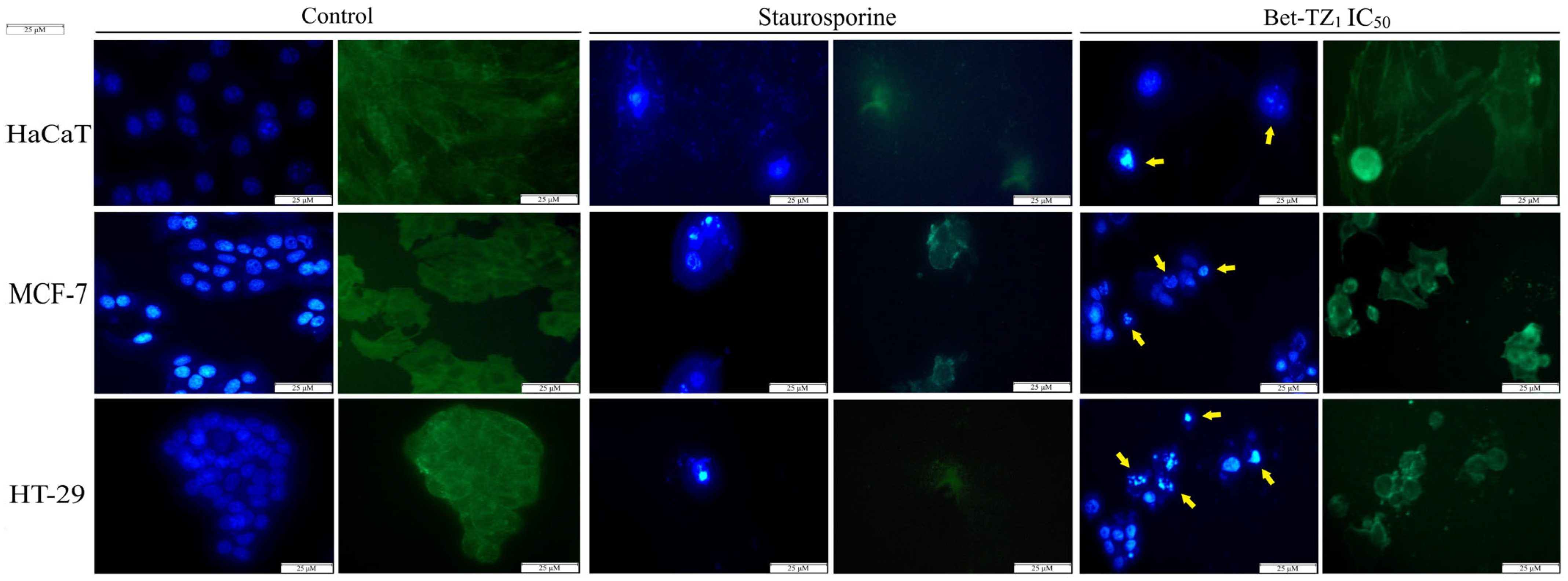 Processes 12 00024 g008