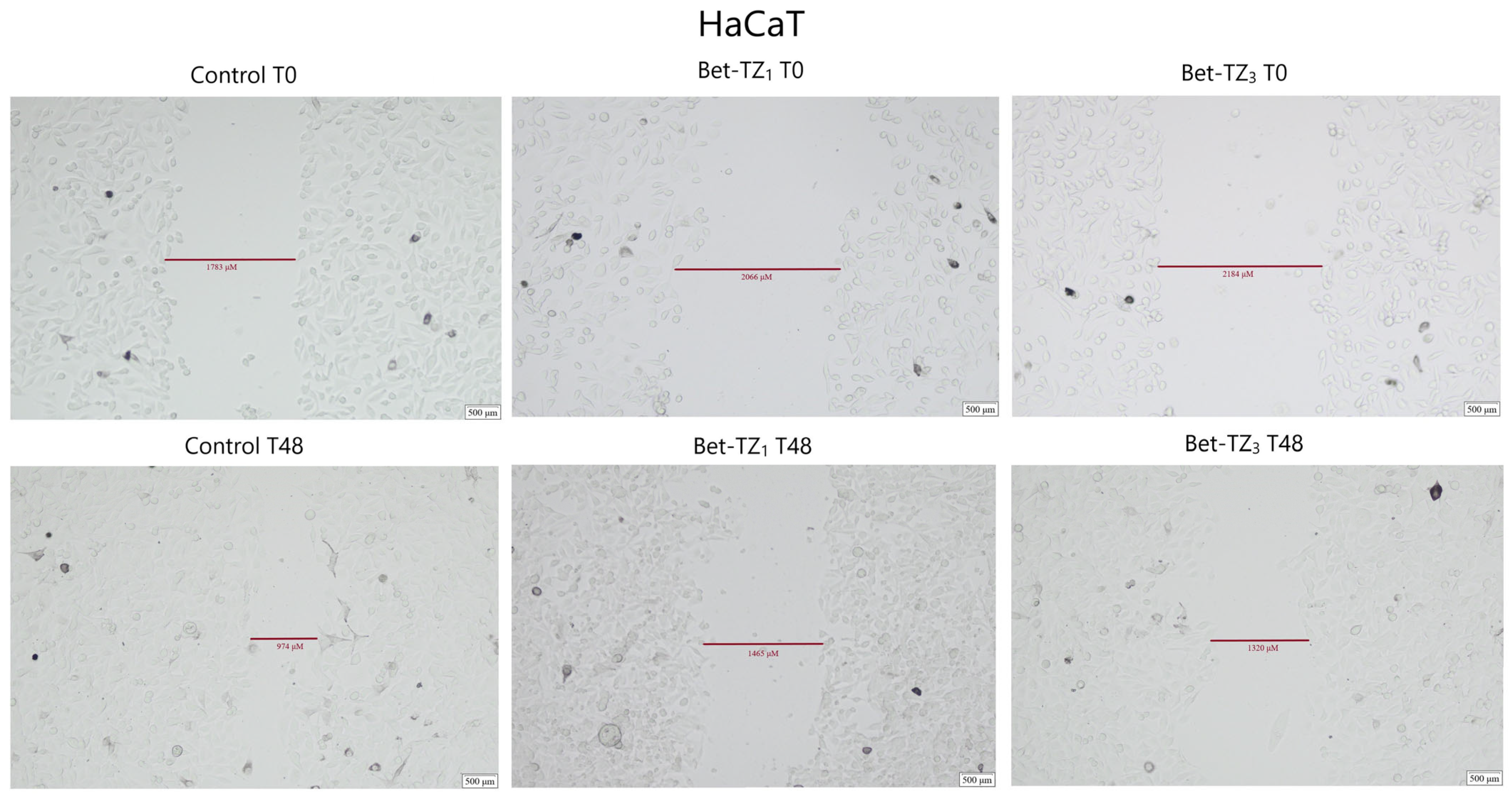Processes 12 00024 g010