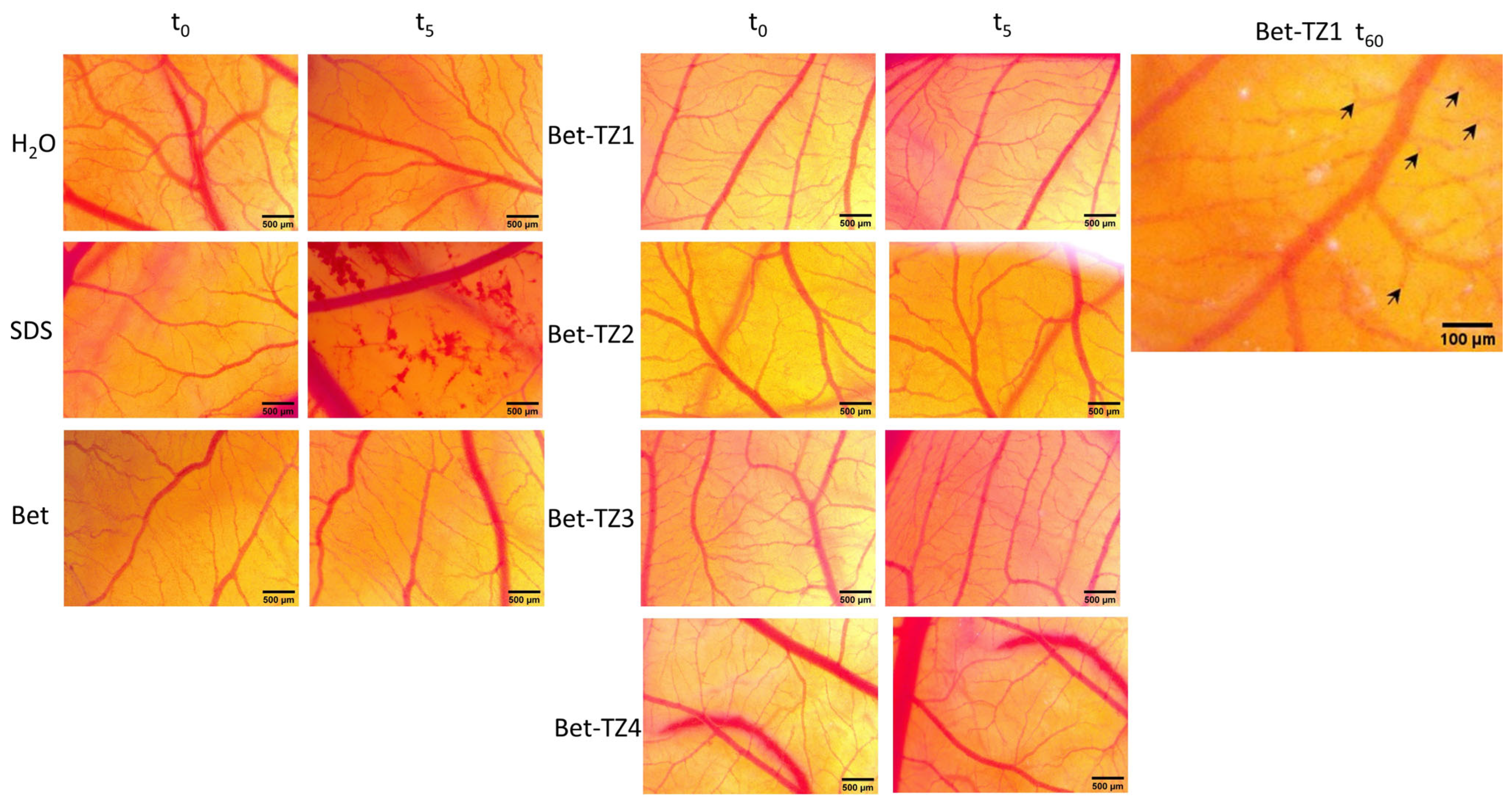 Processes 12 00024 g014