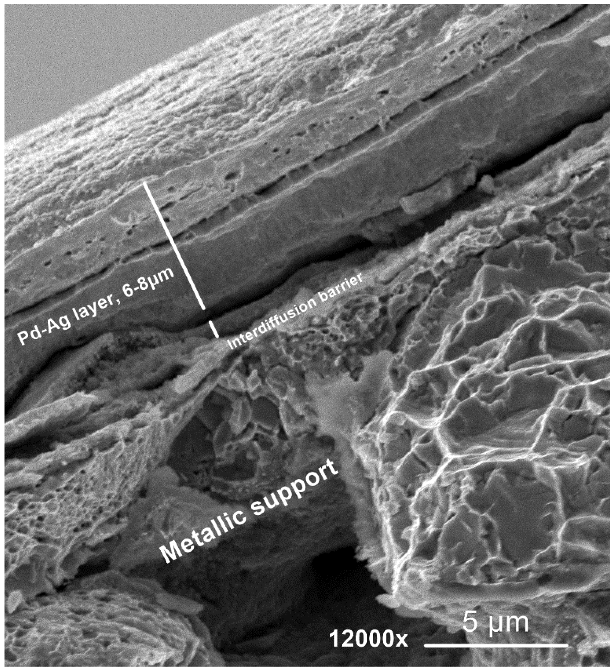 Processes 12 00040 g006