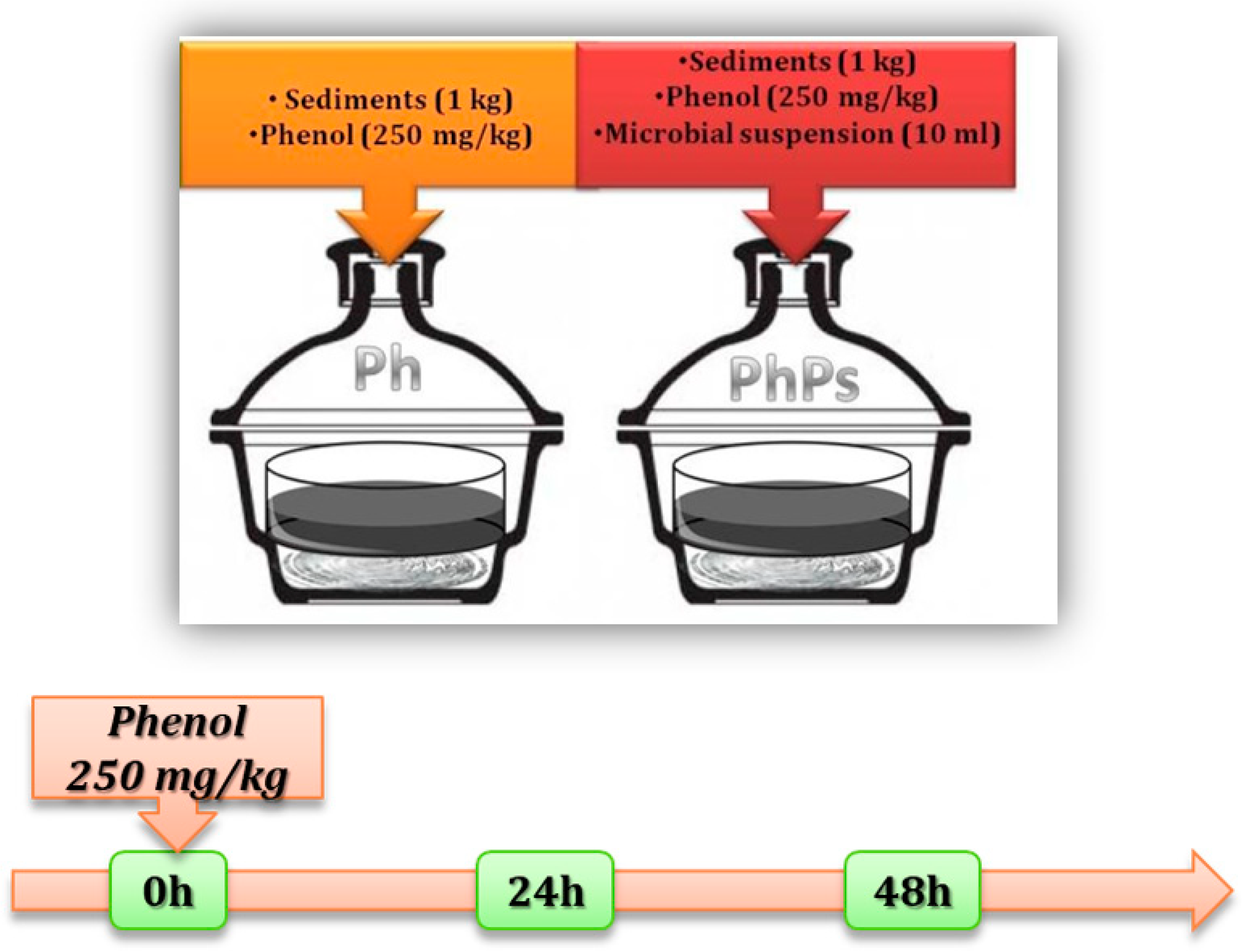 Processes 12 00044 g001