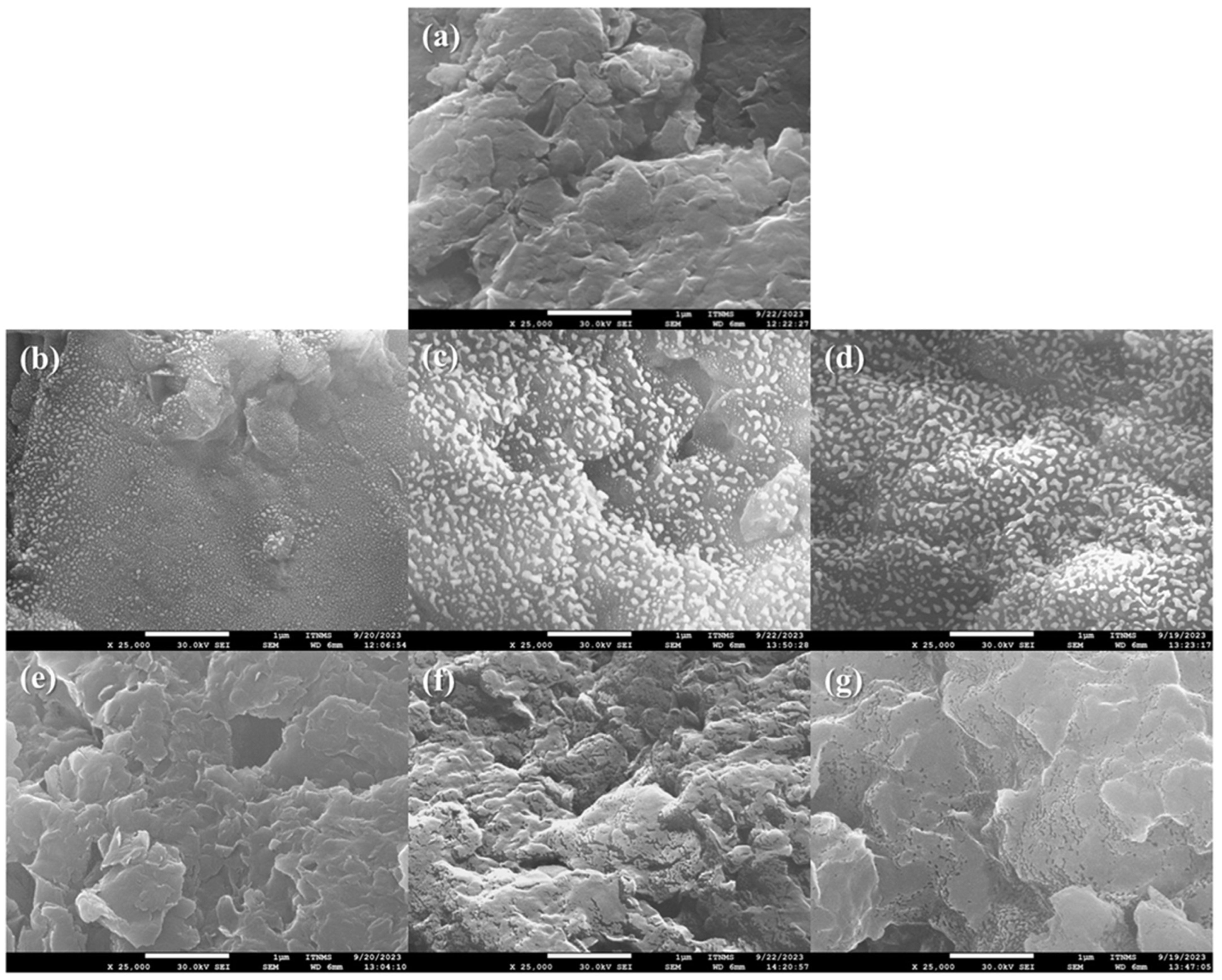 Processes 12 00096 g005