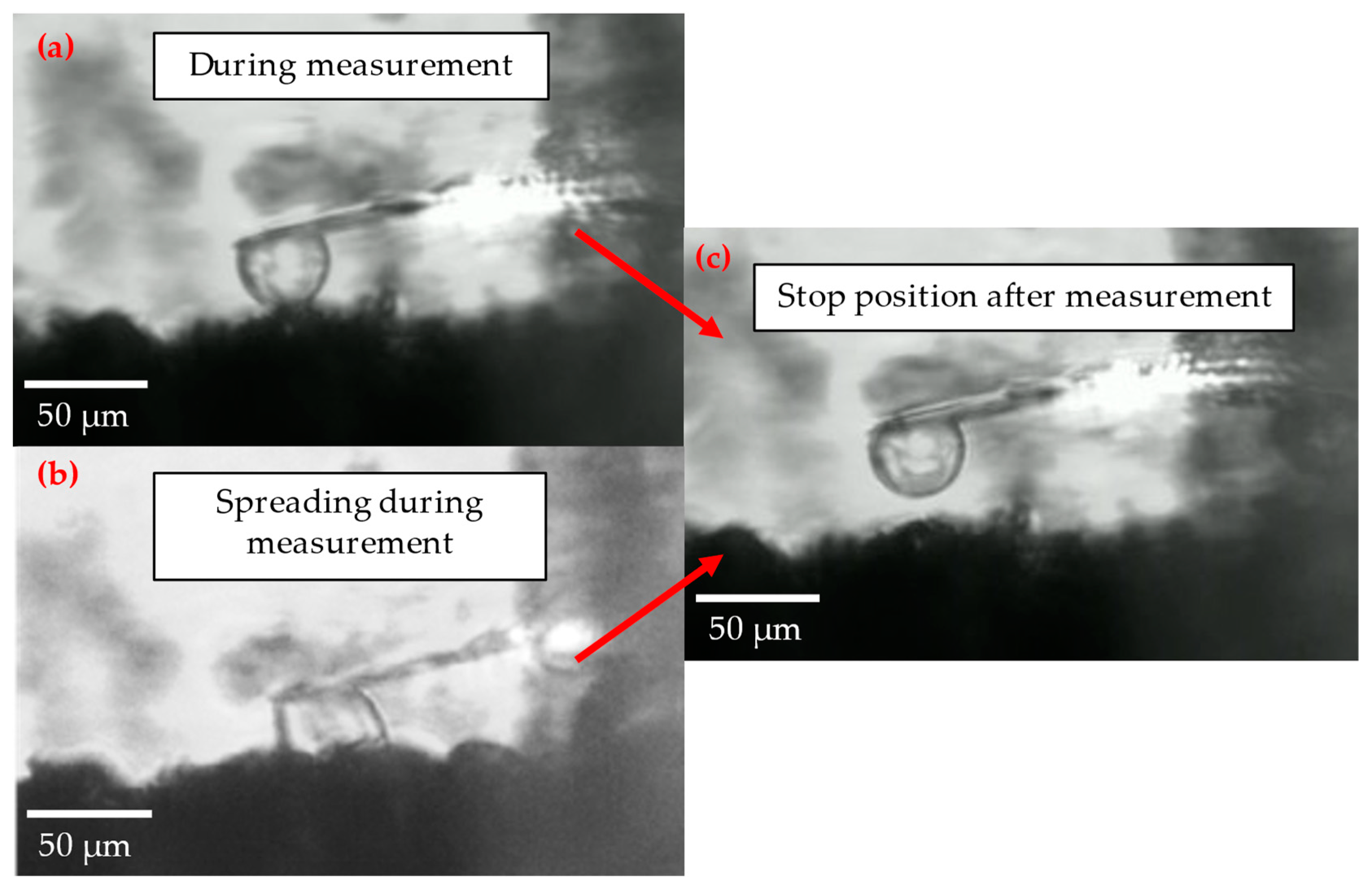 Processes 12 00099 g009