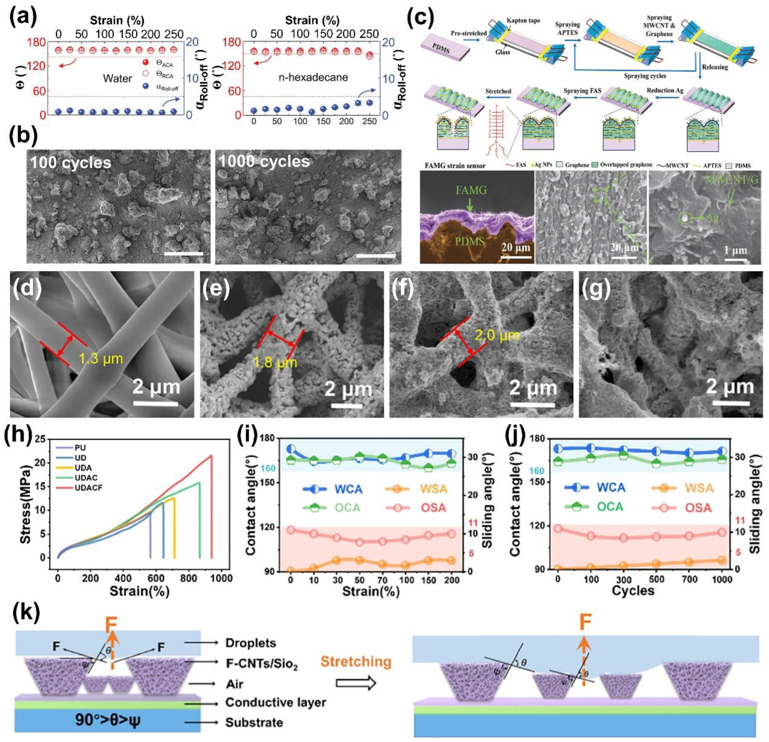 Processes 12 00124 g002
