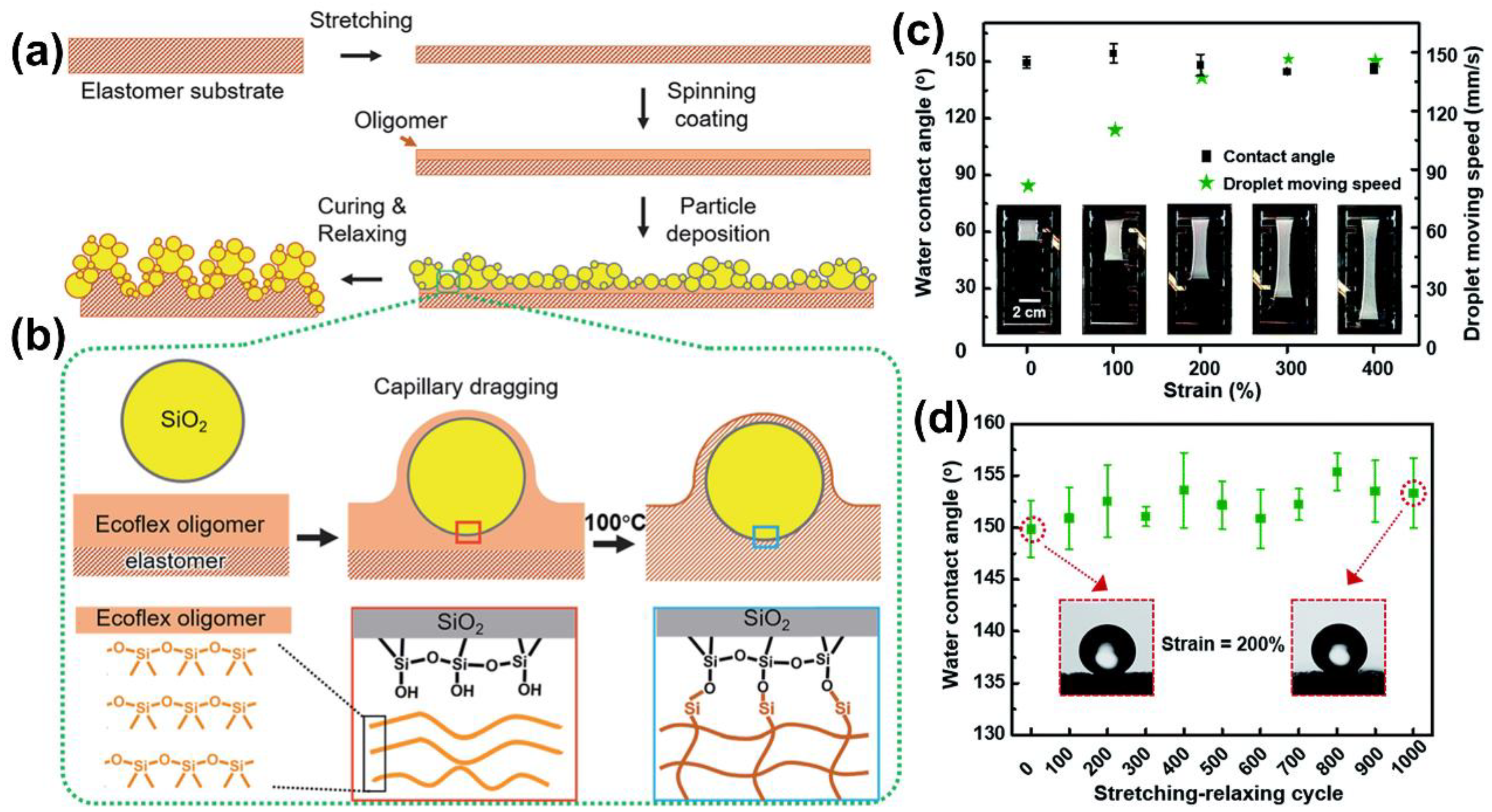 Processes 12 00124 g004