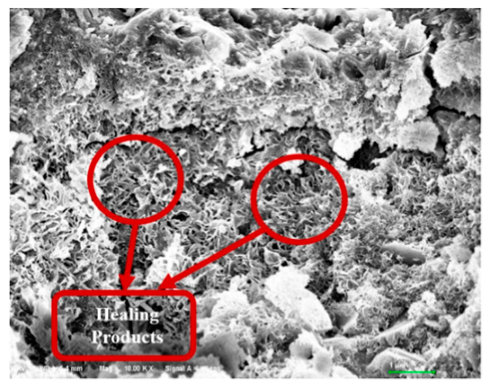 Processes 12 00128 g018 Processes 12 00128 g018