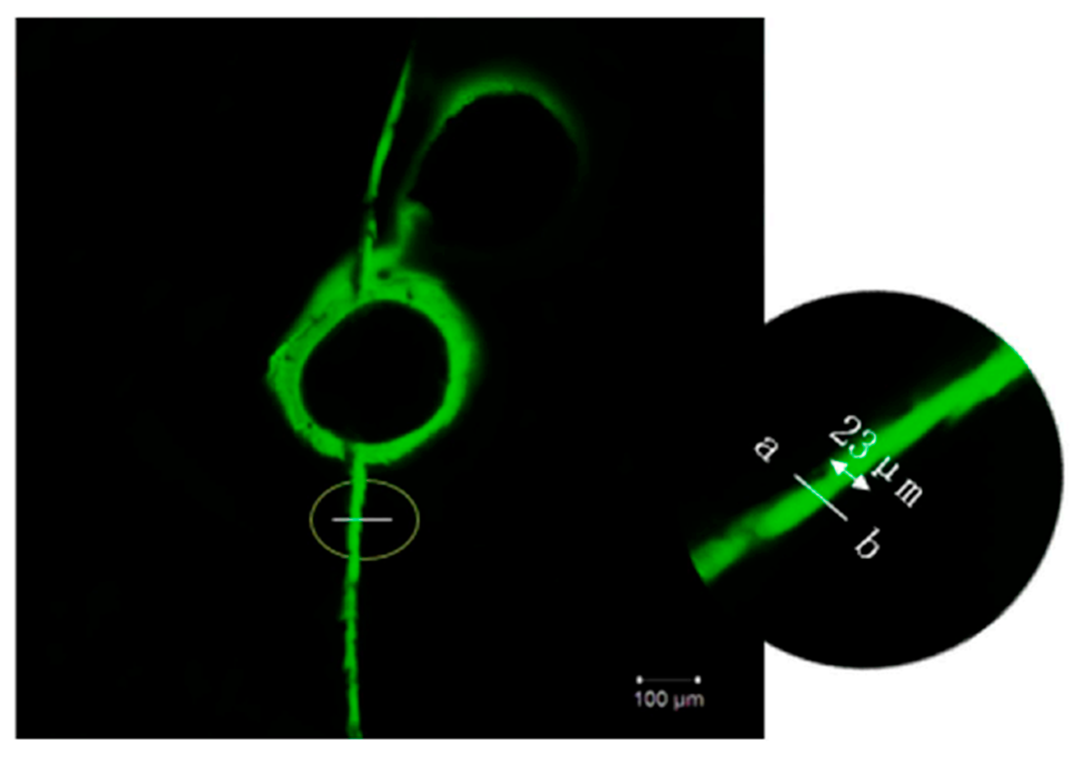 Processes 12 00128 g027 Processes 12 00128 g027