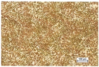 Processes 12 00153 i003 Processes 12 00153 i003