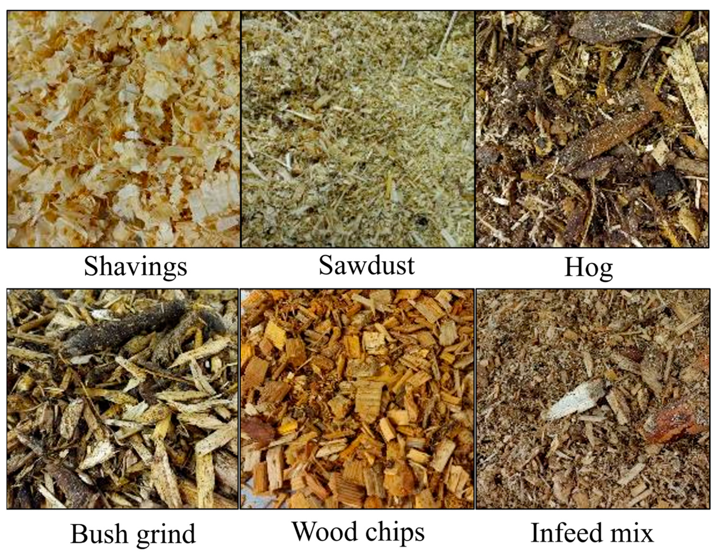 Processes 12 00181 g001