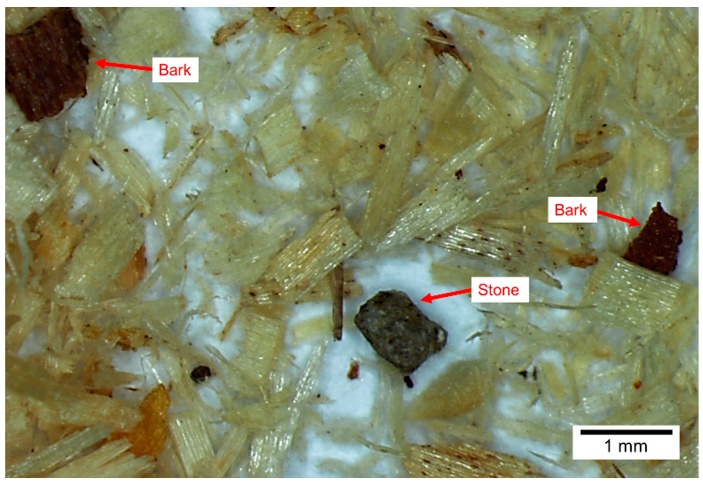 Processes 12 00181 g006