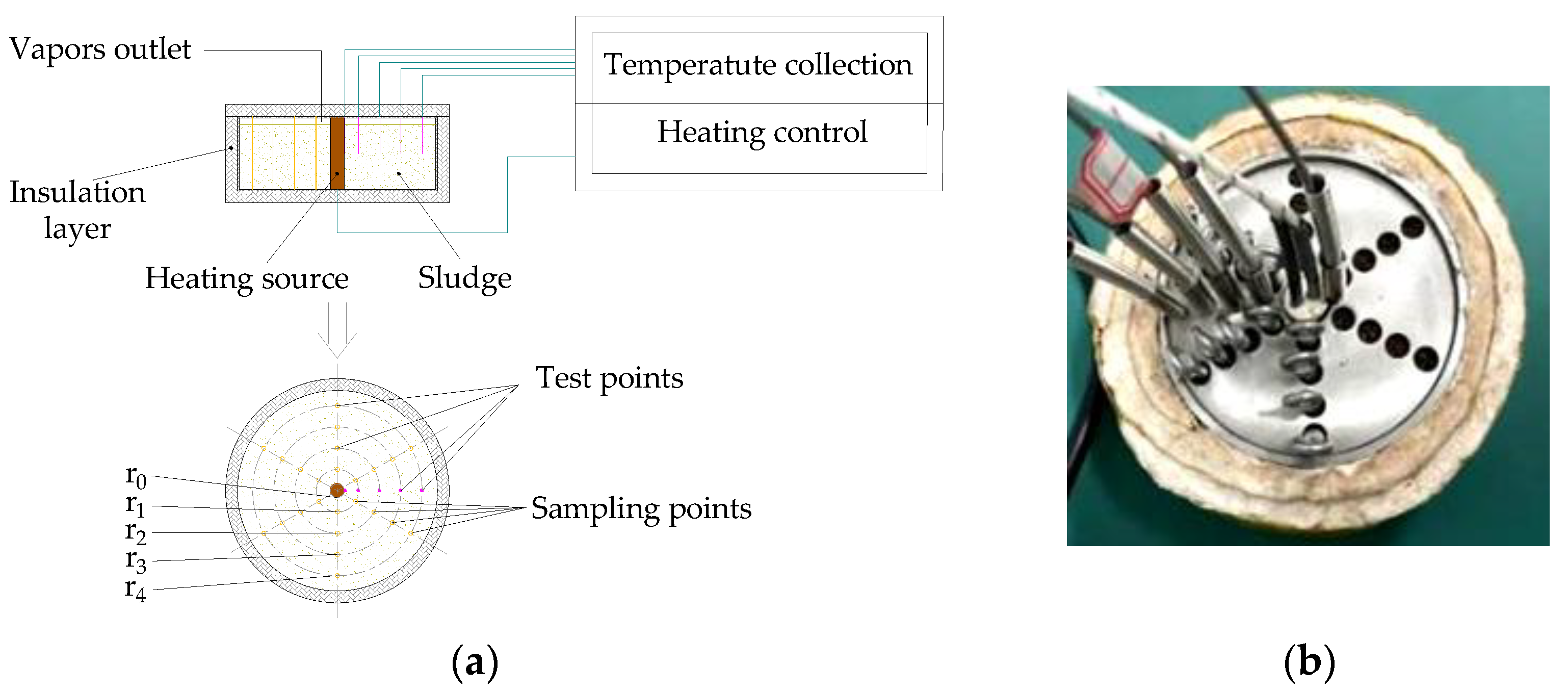 Processes 12 00227 g001
