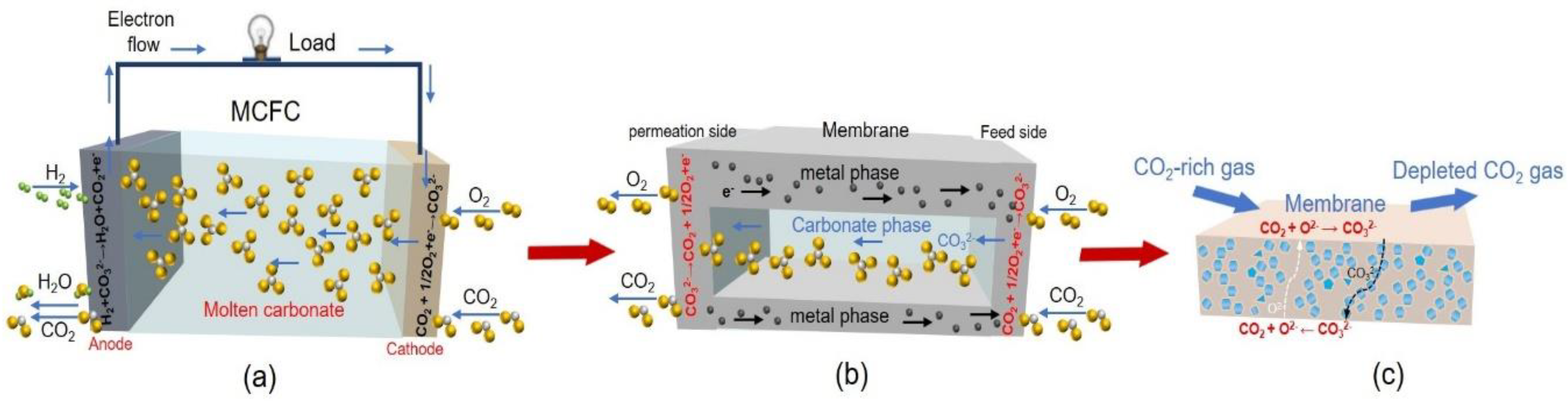 Processes 12 00240 g001
