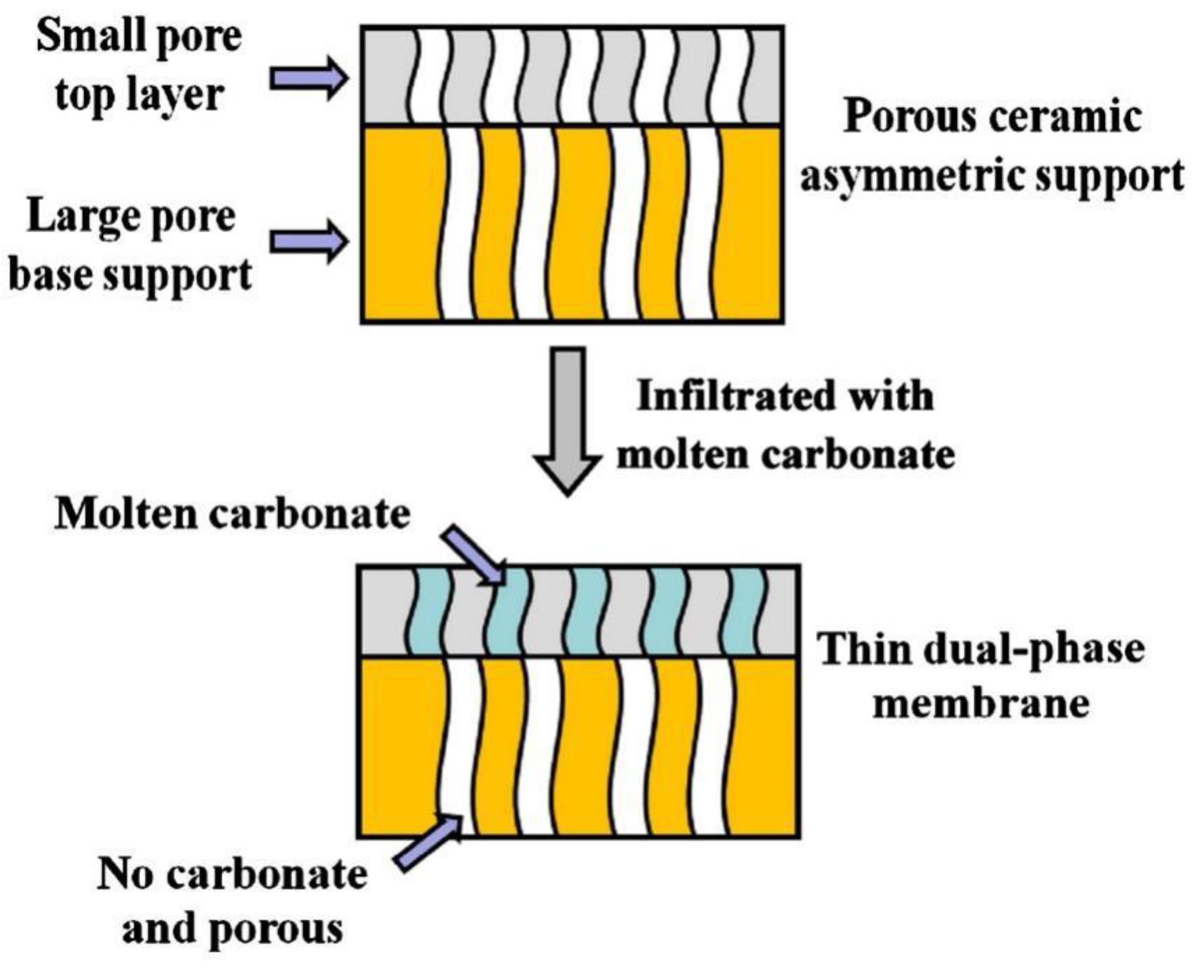 Processes 12 00240 g003