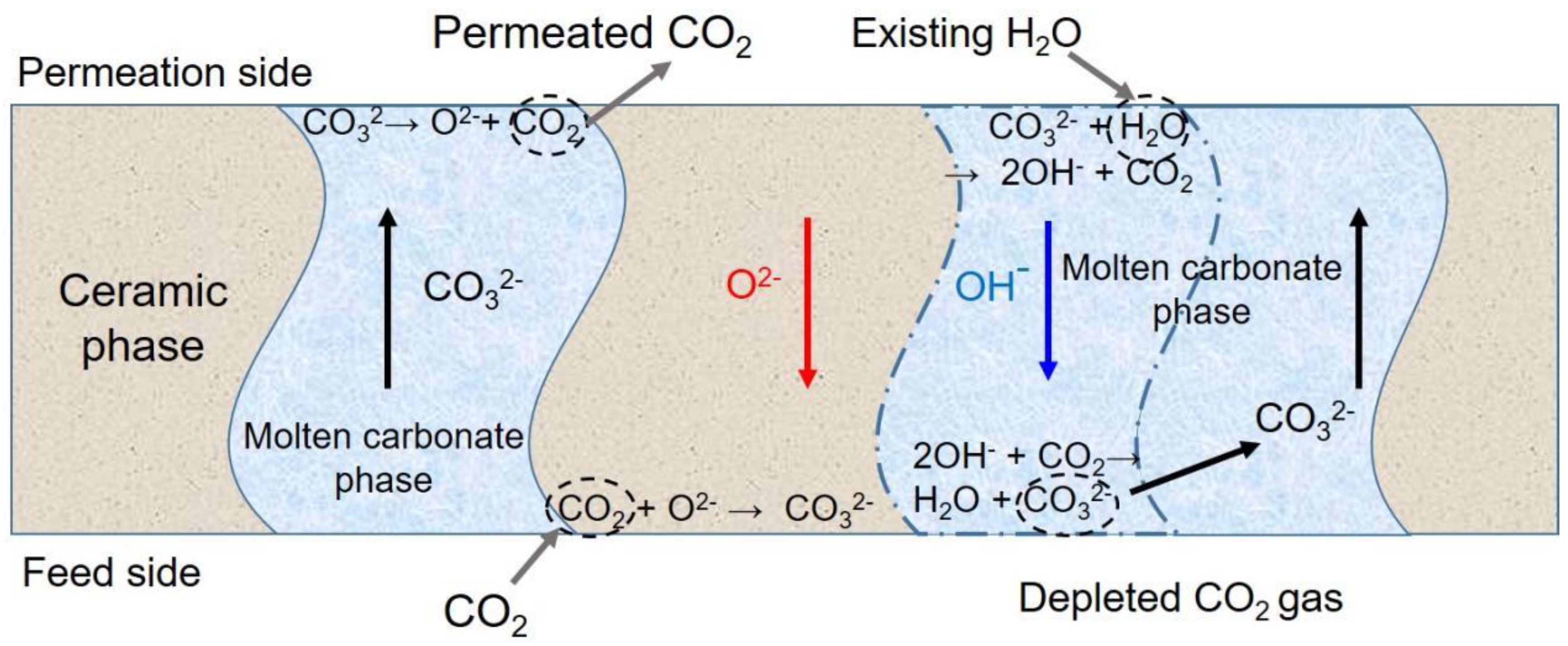 Processes 12 00240 g006