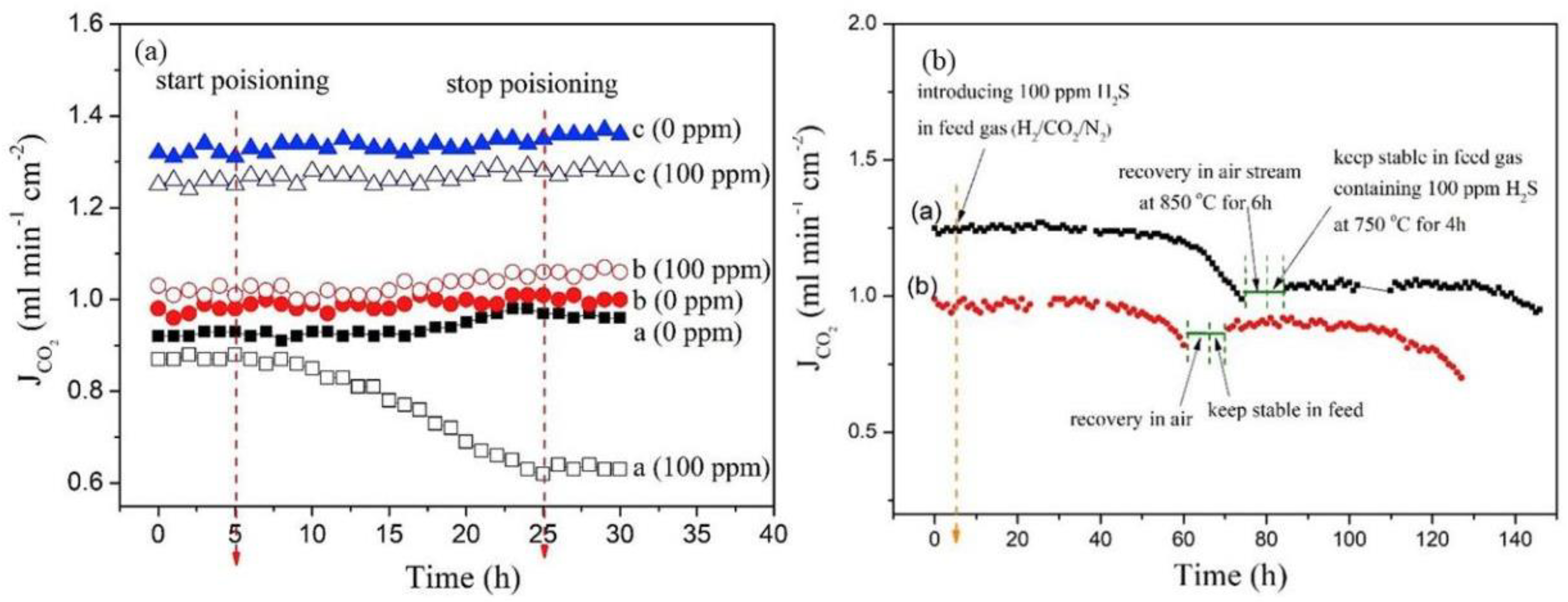 Processes 12 00240 g010