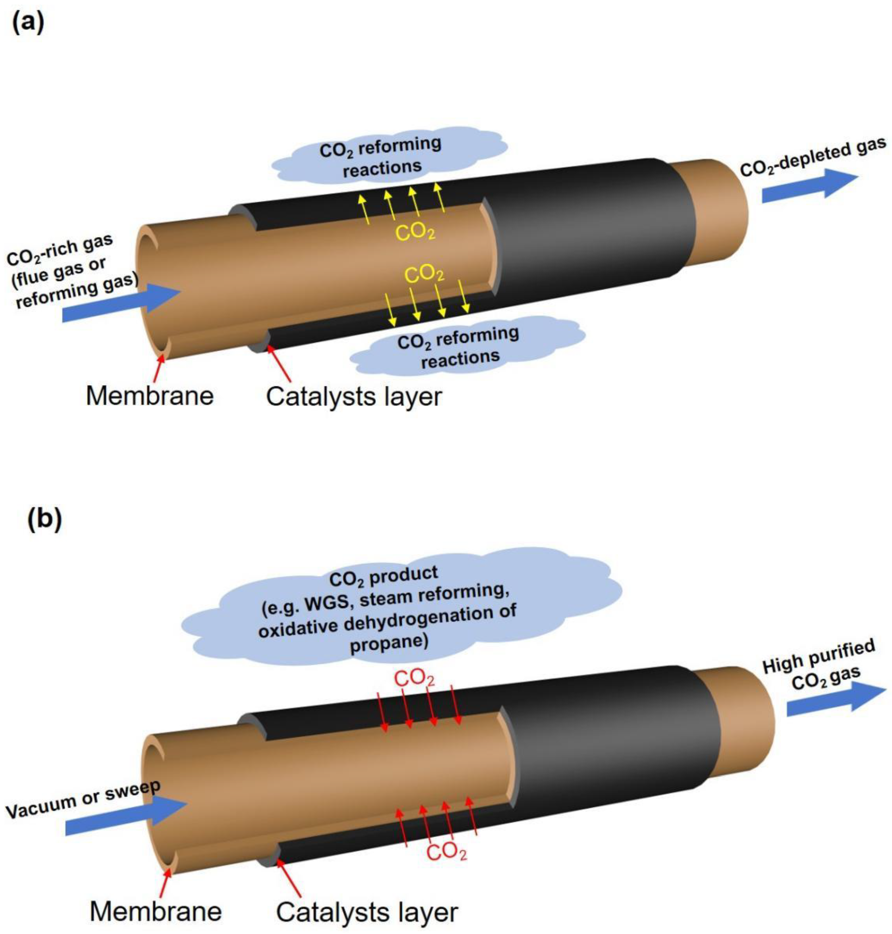 Processes 12 00240 g012