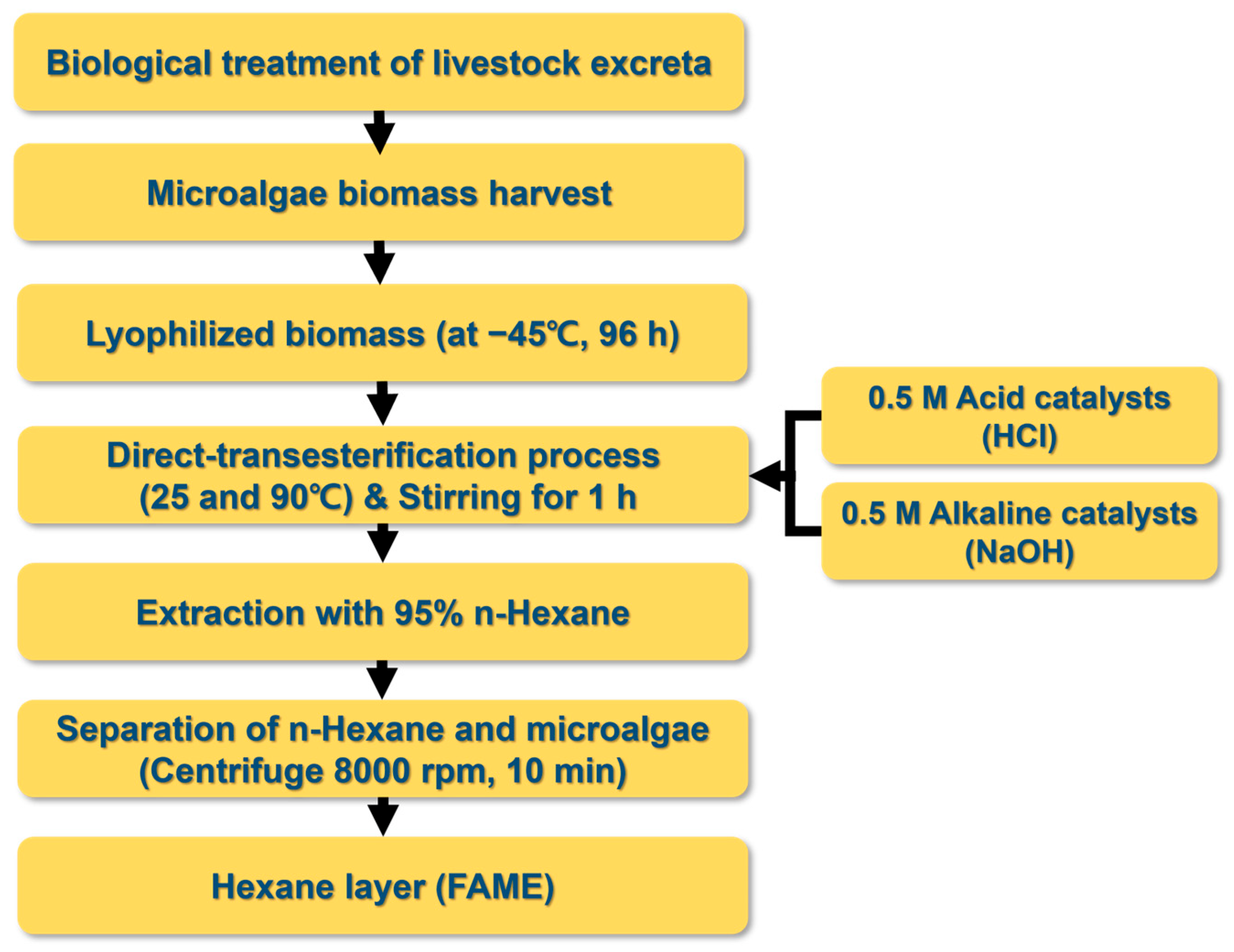 Processes 12 00252 g001