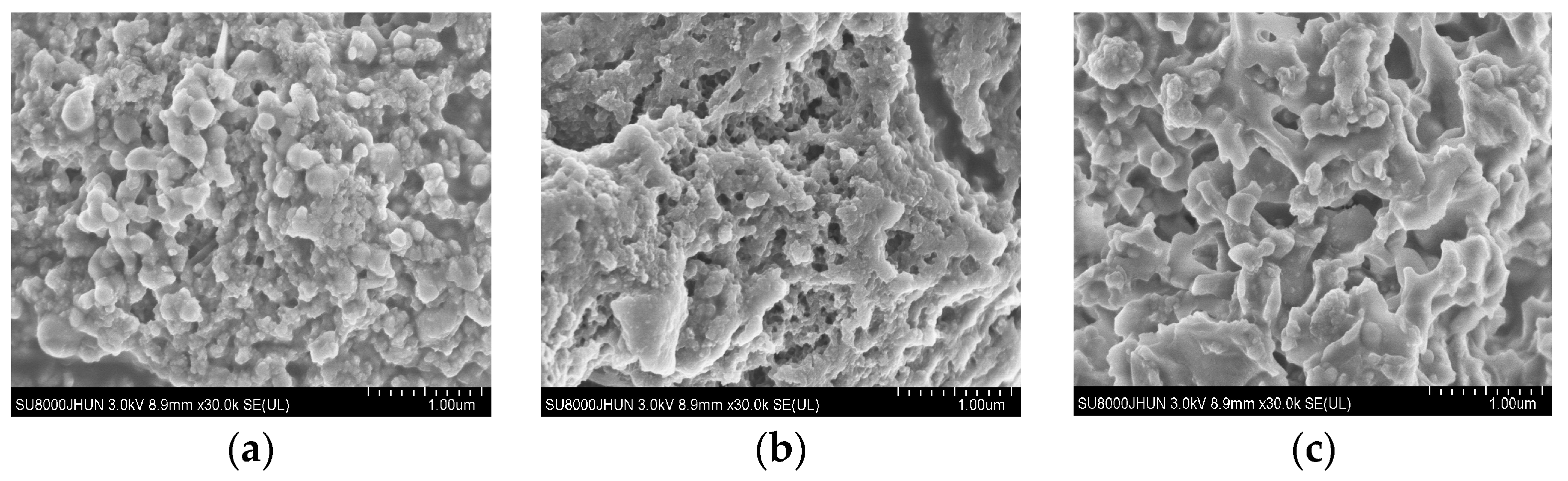 Processes 12 00264 g002