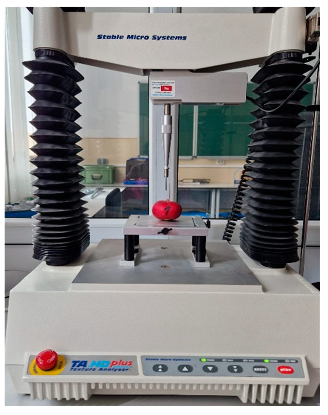 Processes 12 00282 g001