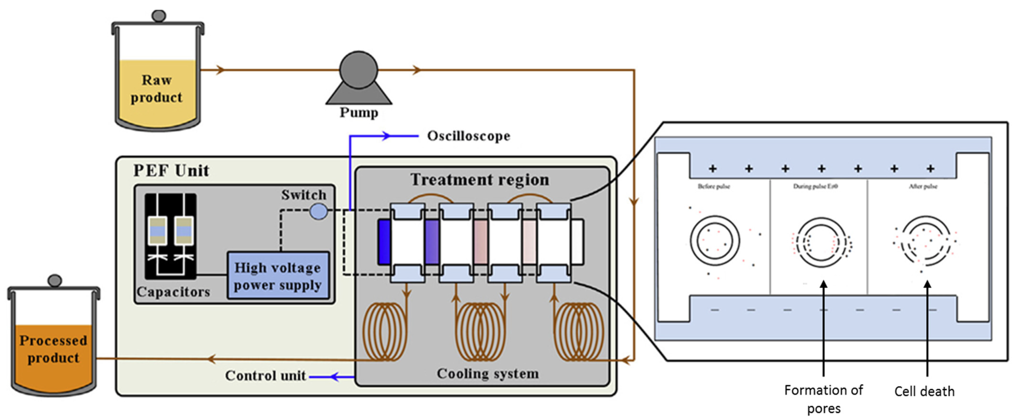 Processes 12 00296 g004