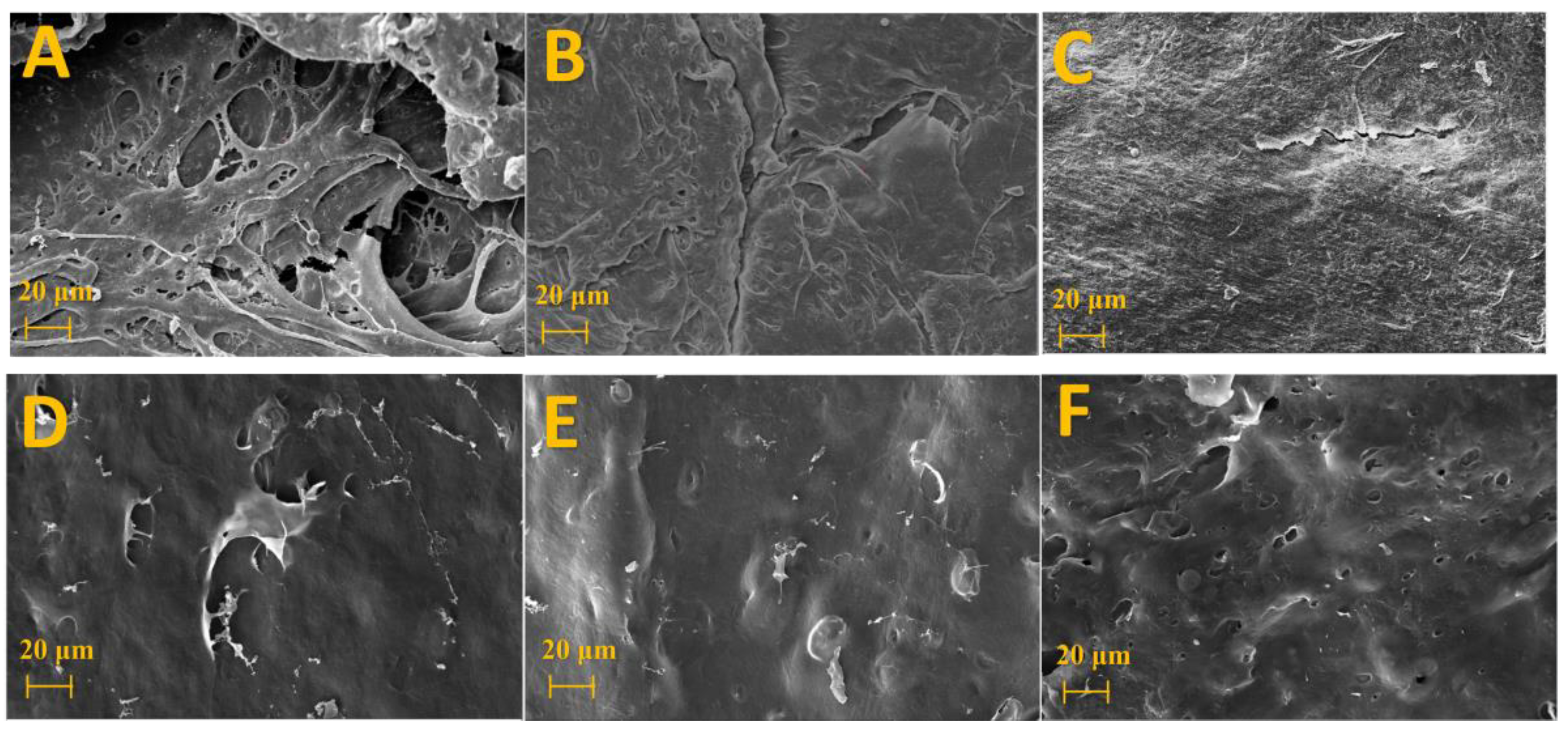 Processes 12 00302 g009