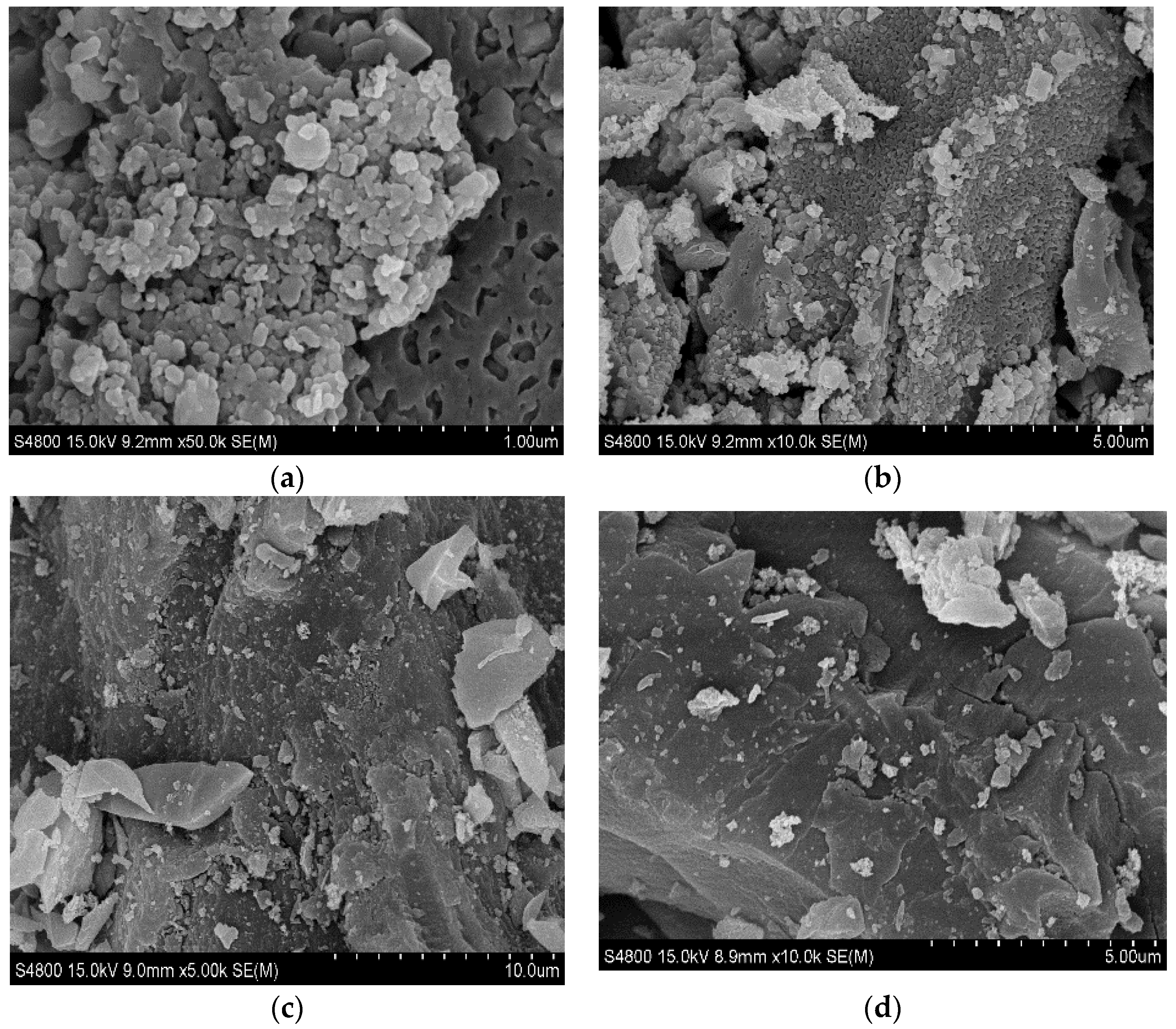 Processes 12 00322 g005