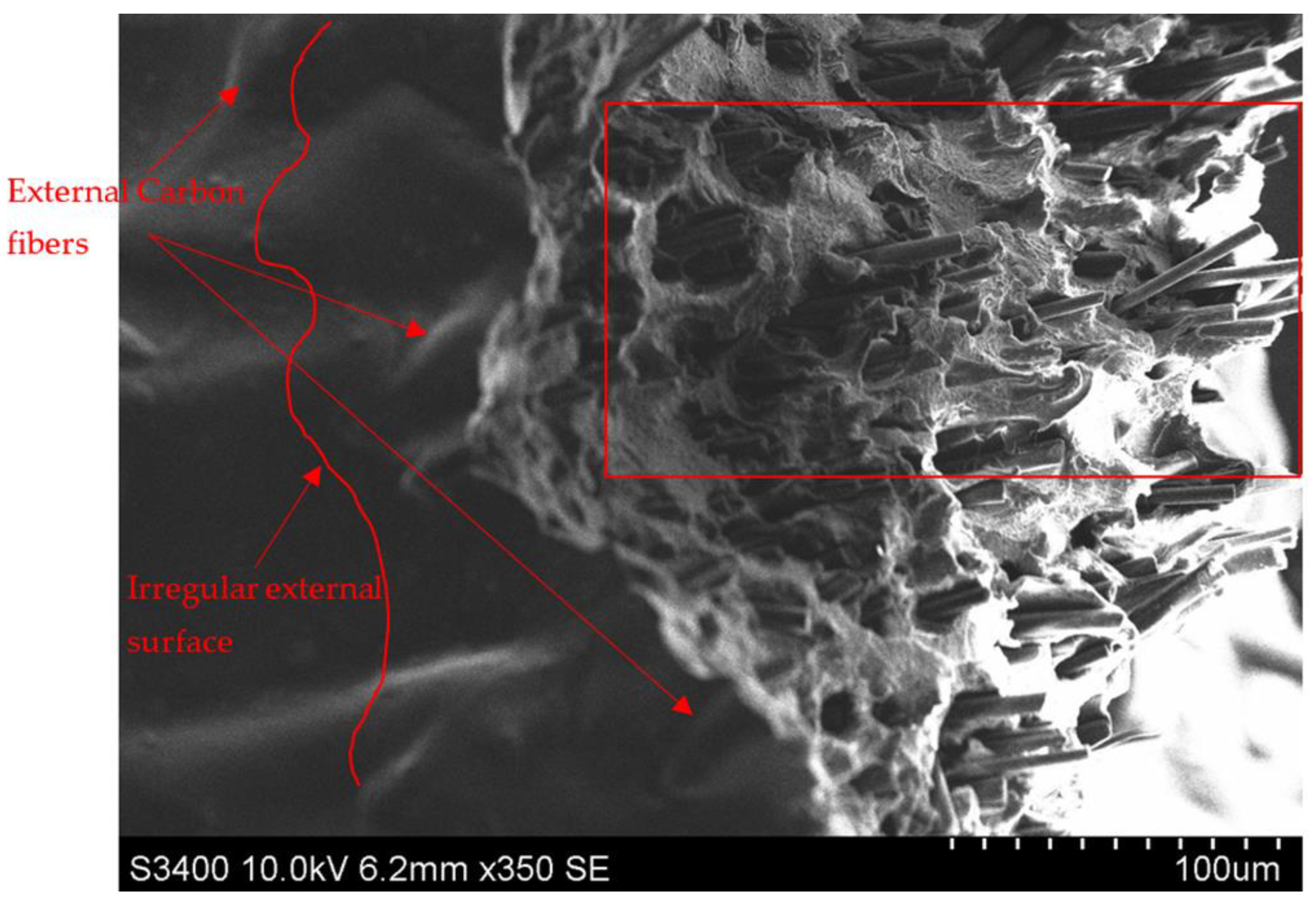 Processes 12 00334 g013