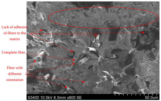 Processes 12 00334 g016