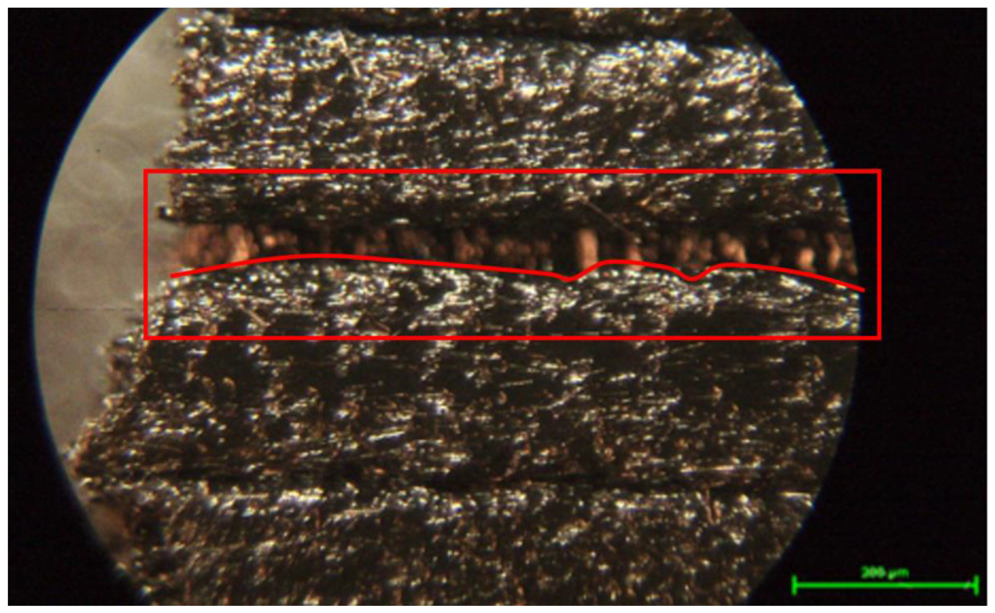 Processes 12 00334 g017