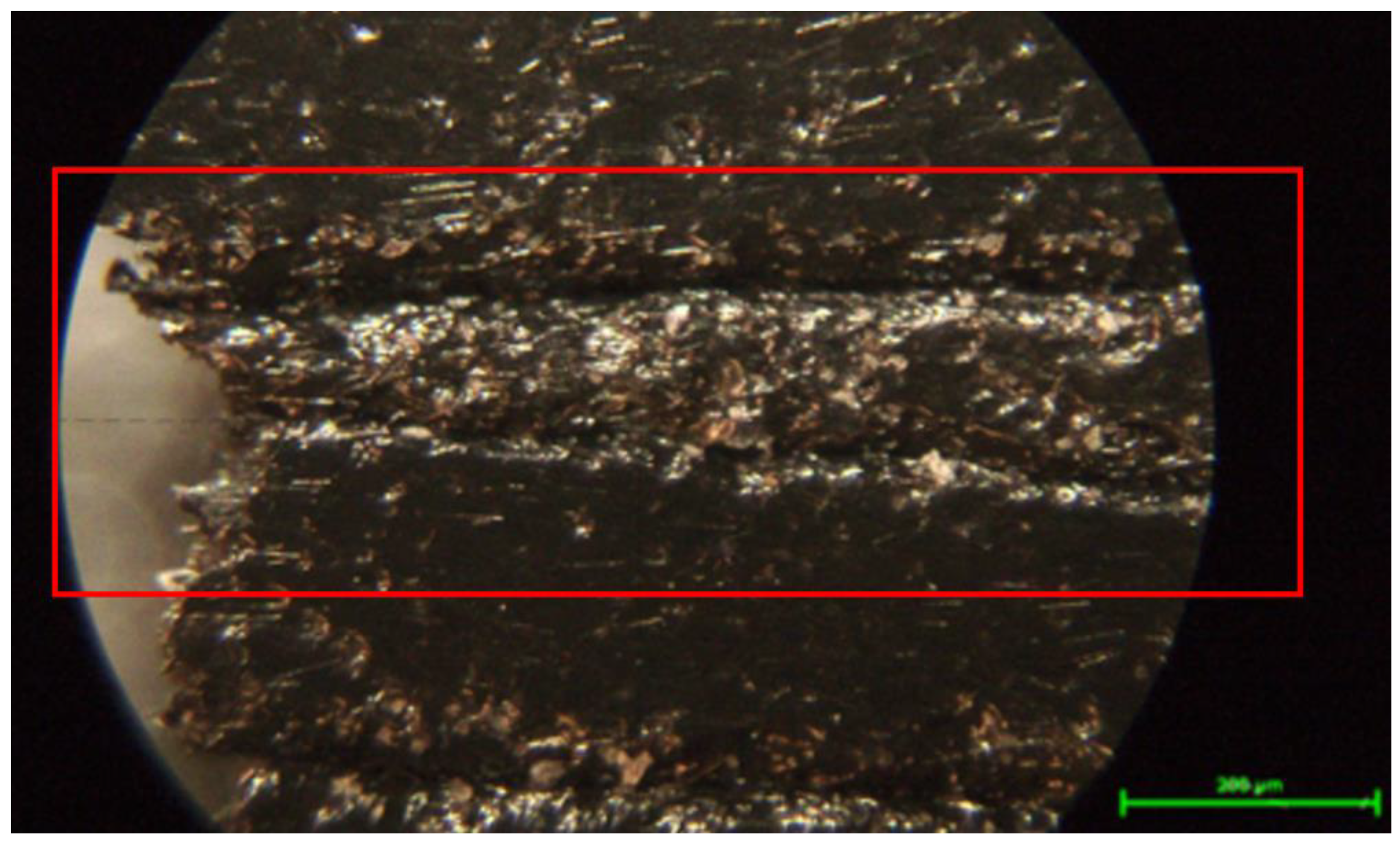 Processes 12 00334 g019