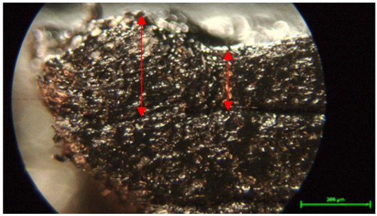 Processes 12 00334 g021